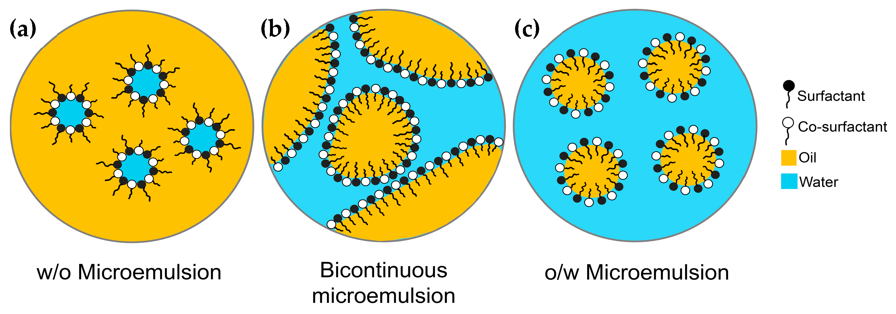 Pharmaceuticals 16 00999 g002 Pharmaceuticals 16 00999 g002
