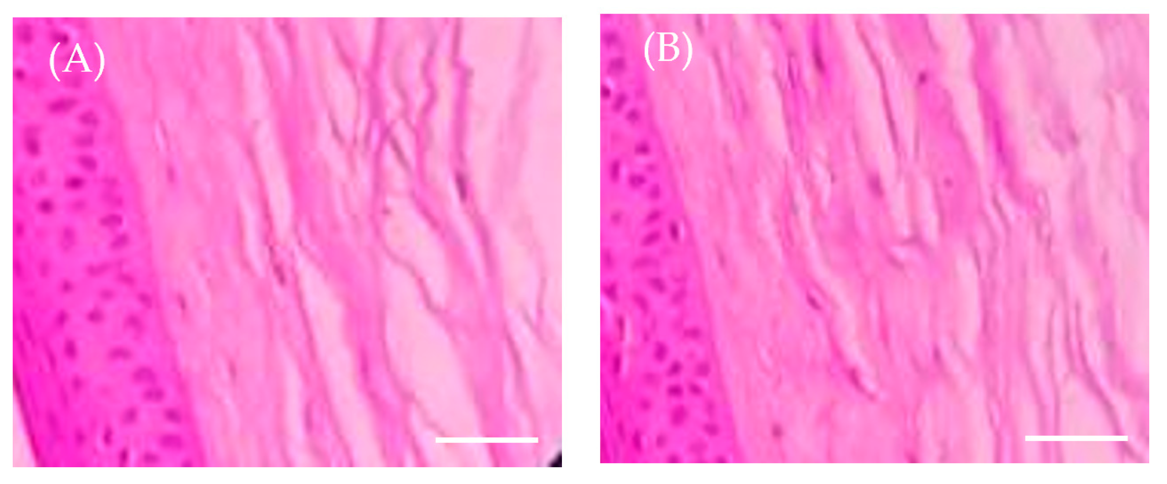 Pharmaceuticals 16 01001 g008