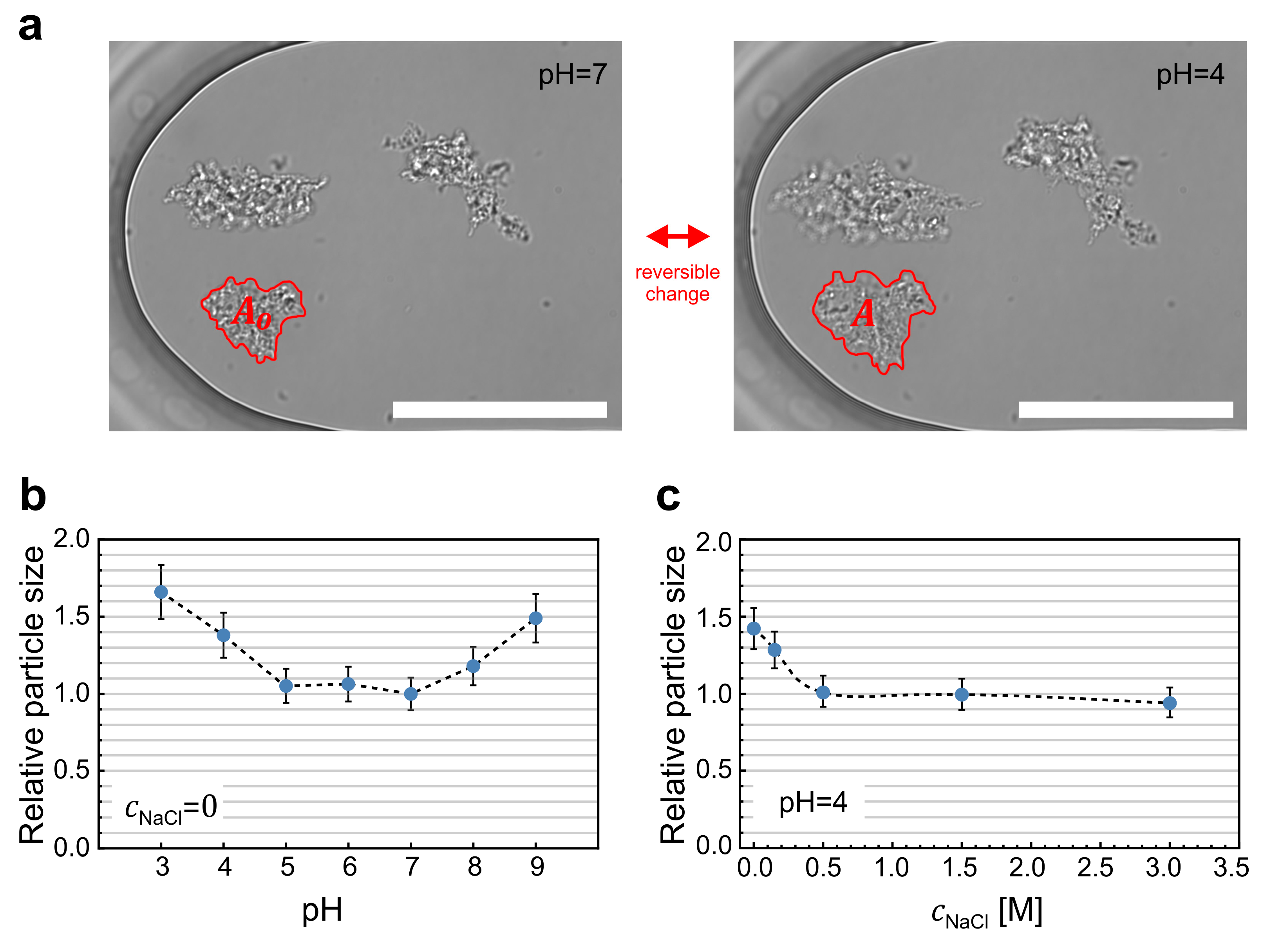 Pharmaceuticals 16 01002 g002