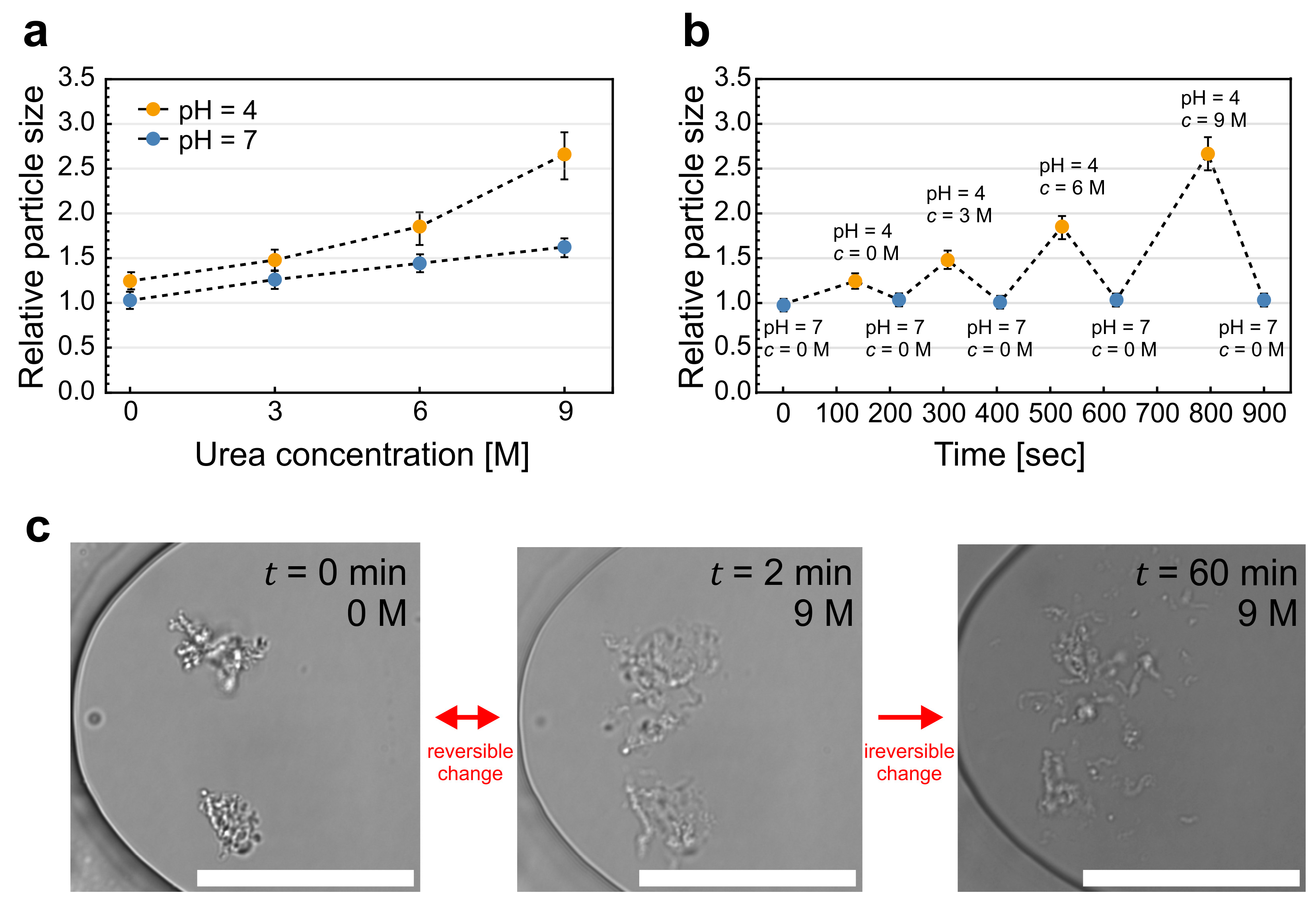 Pharmaceuticals 16 01002 g004