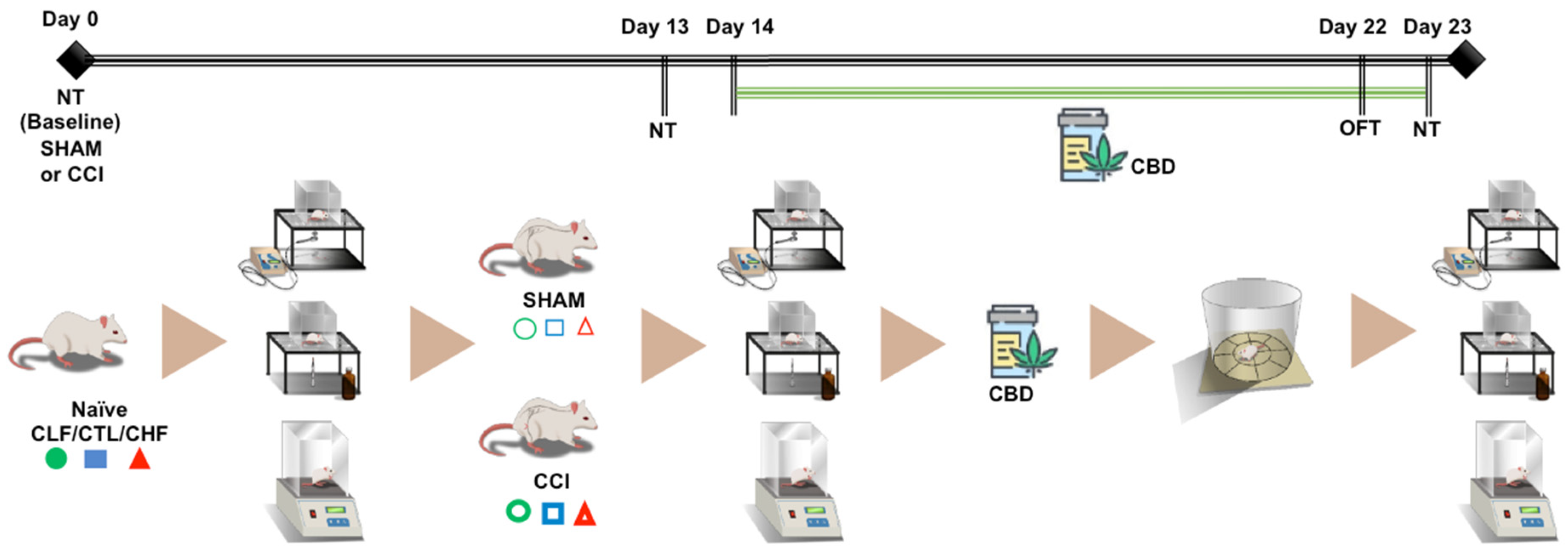Pharmaceuticals 16 01003 g001 Pharmaceuticals 16 01003 g001