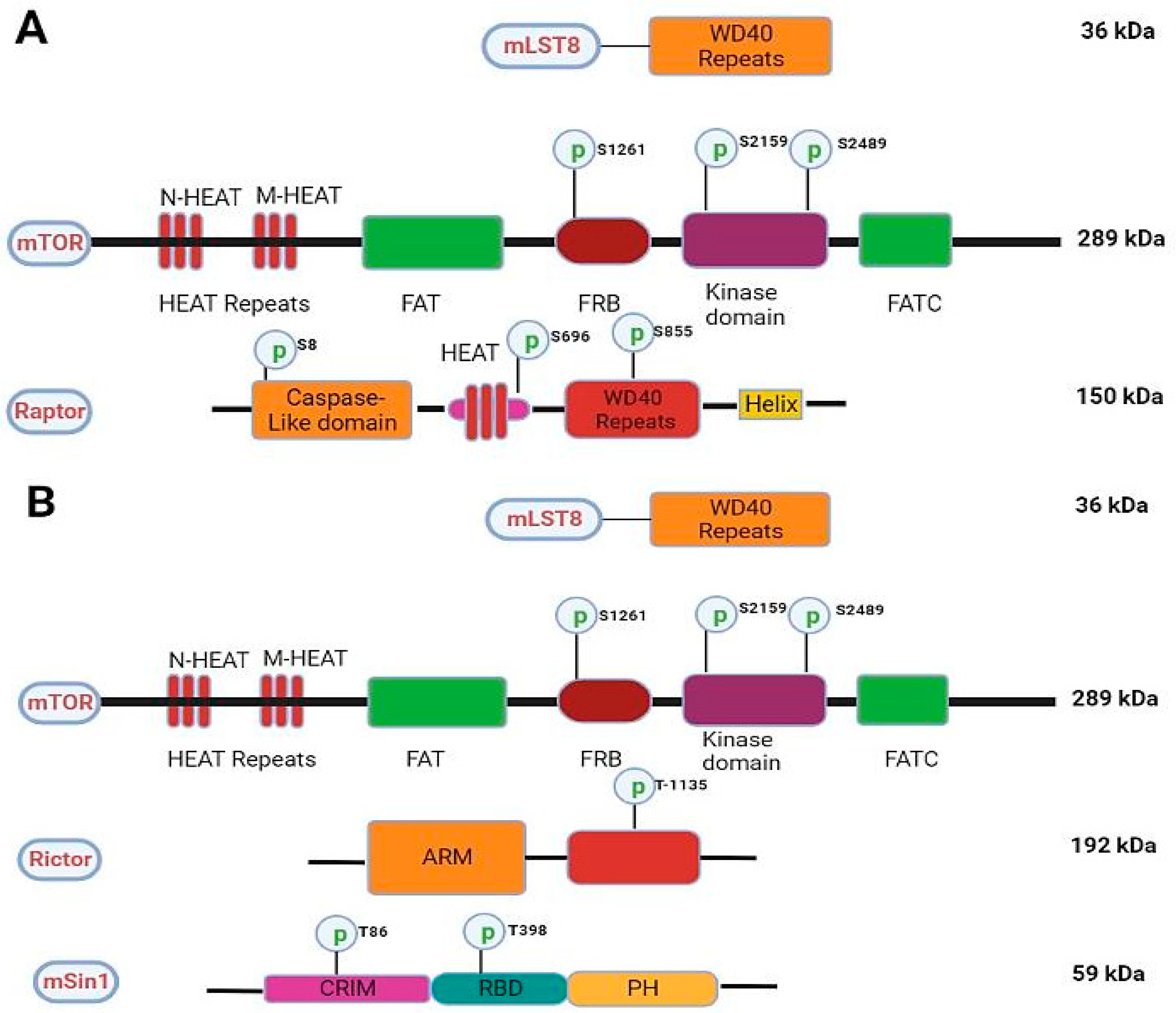Pharmaceuticals 16 01004 g002