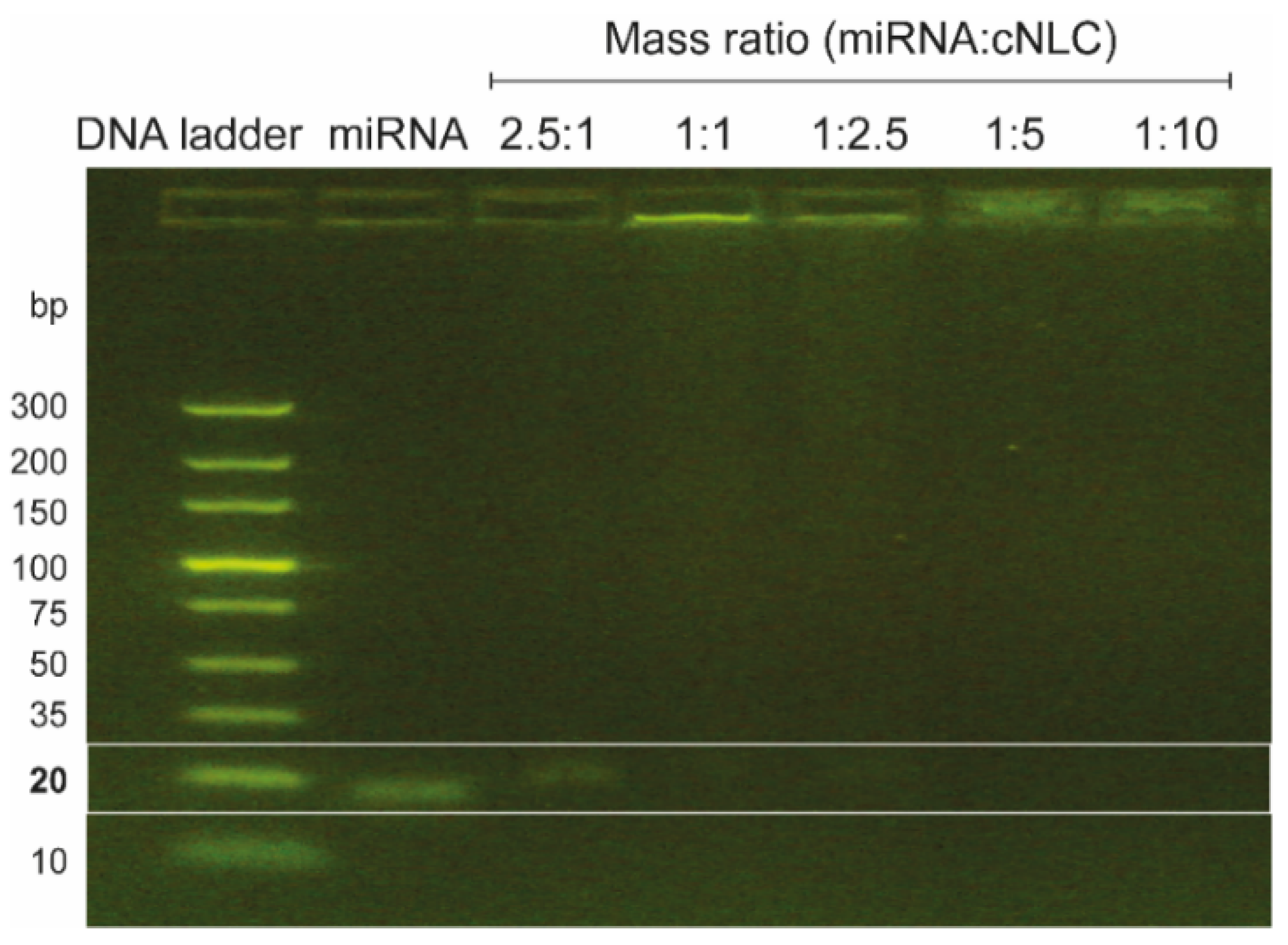 Pharmaceuticals 16 01007 g004