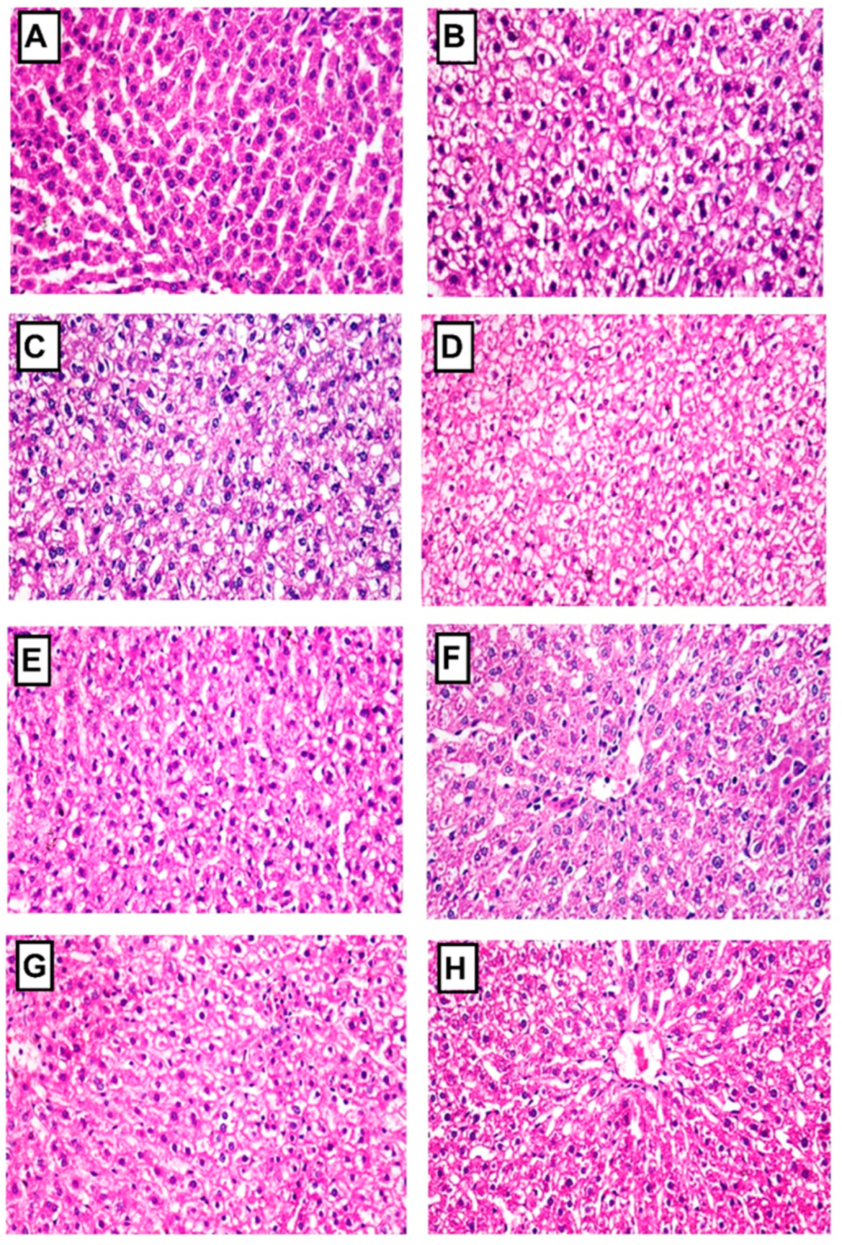 Pharmaceuticals 16 01008 g009