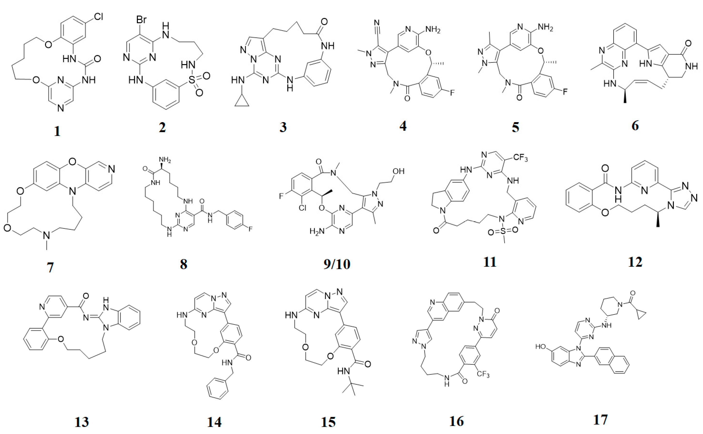 Pharmaceuticals 16 01009 g002