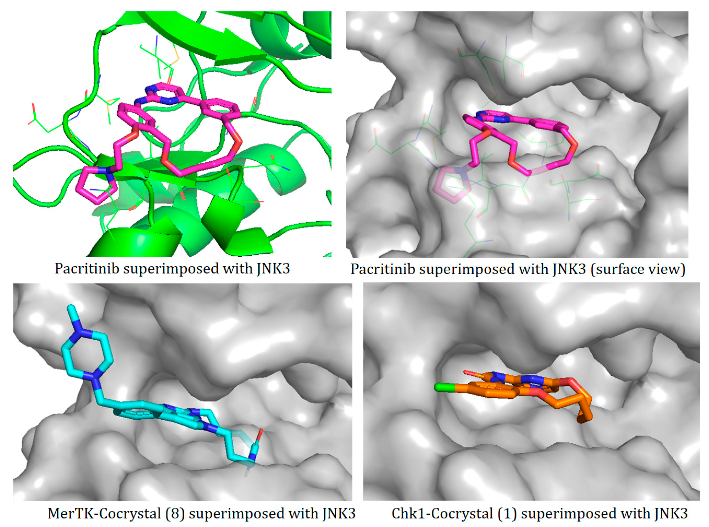 Pharmaceuticals 16 01009 g003