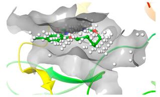 Pharmaceuticals 16 01009 i013