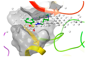 Pharmaceuticals 16 01009 i015