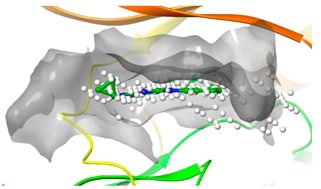 Pharmaceuticals 16 01009 i017