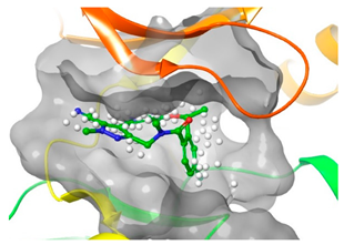Pharmaceuticals 16 01009 i019