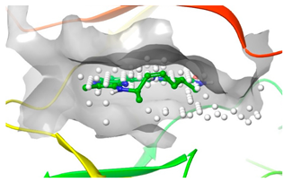 Pharmaceuticals 16 01009 i023