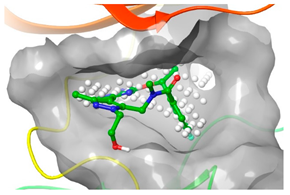 Pharmaceuticals 16 01009 i029