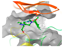 Pharmaceuticals 16 01009 i030