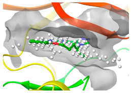 Pharmaceuticals 16 01009 i034