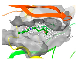 Pharmaceuticals 16 01009 i036