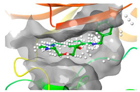 Pharmaceuticals 16 01009 i038