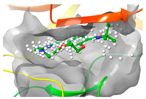 Pharmaceuticals 16 01009 i040