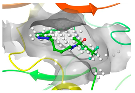 Pharmaceuticals 16 01009 i042