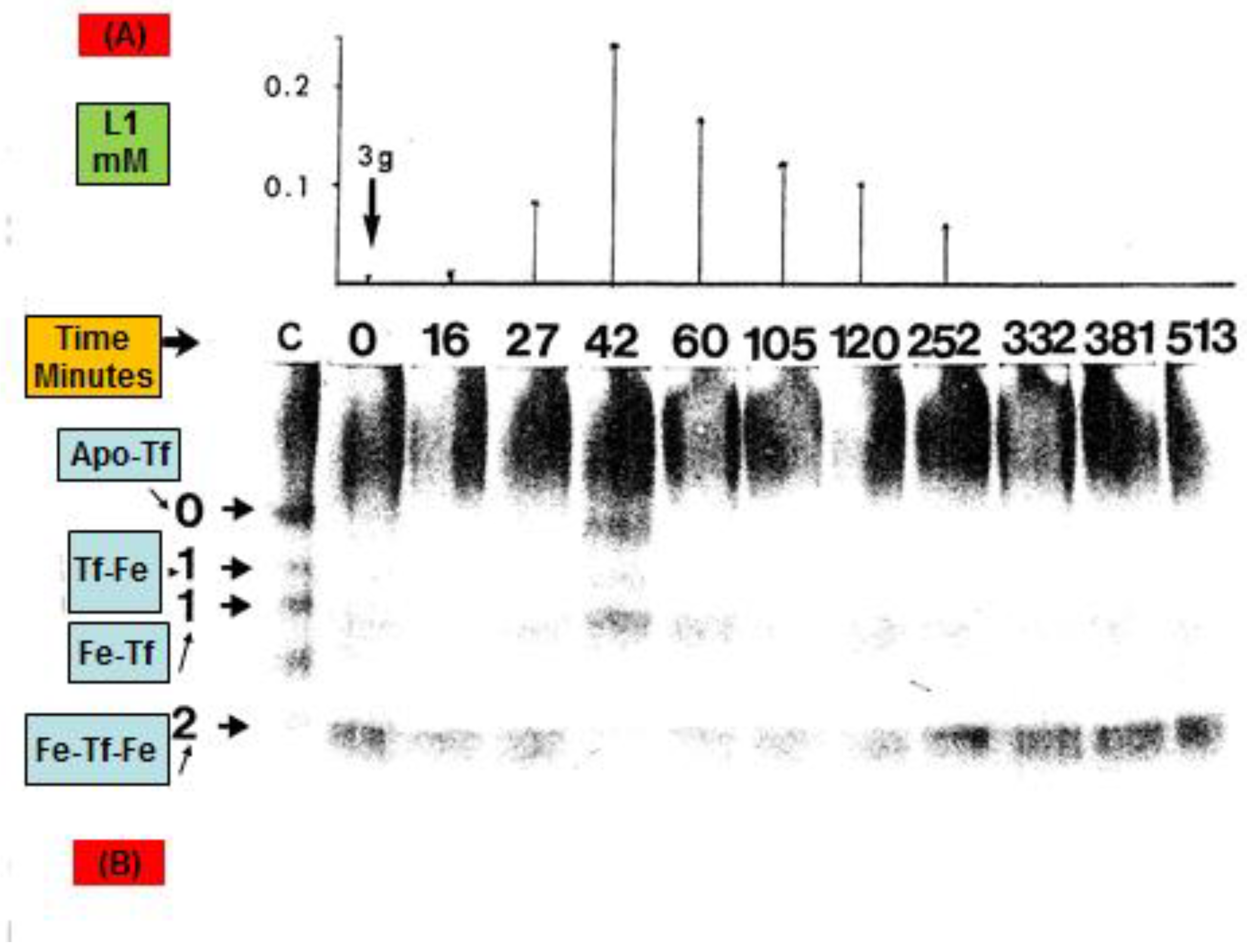 Pharmaceuticals 16 01016 g004 Pharmaceuticals 16 01016 g004