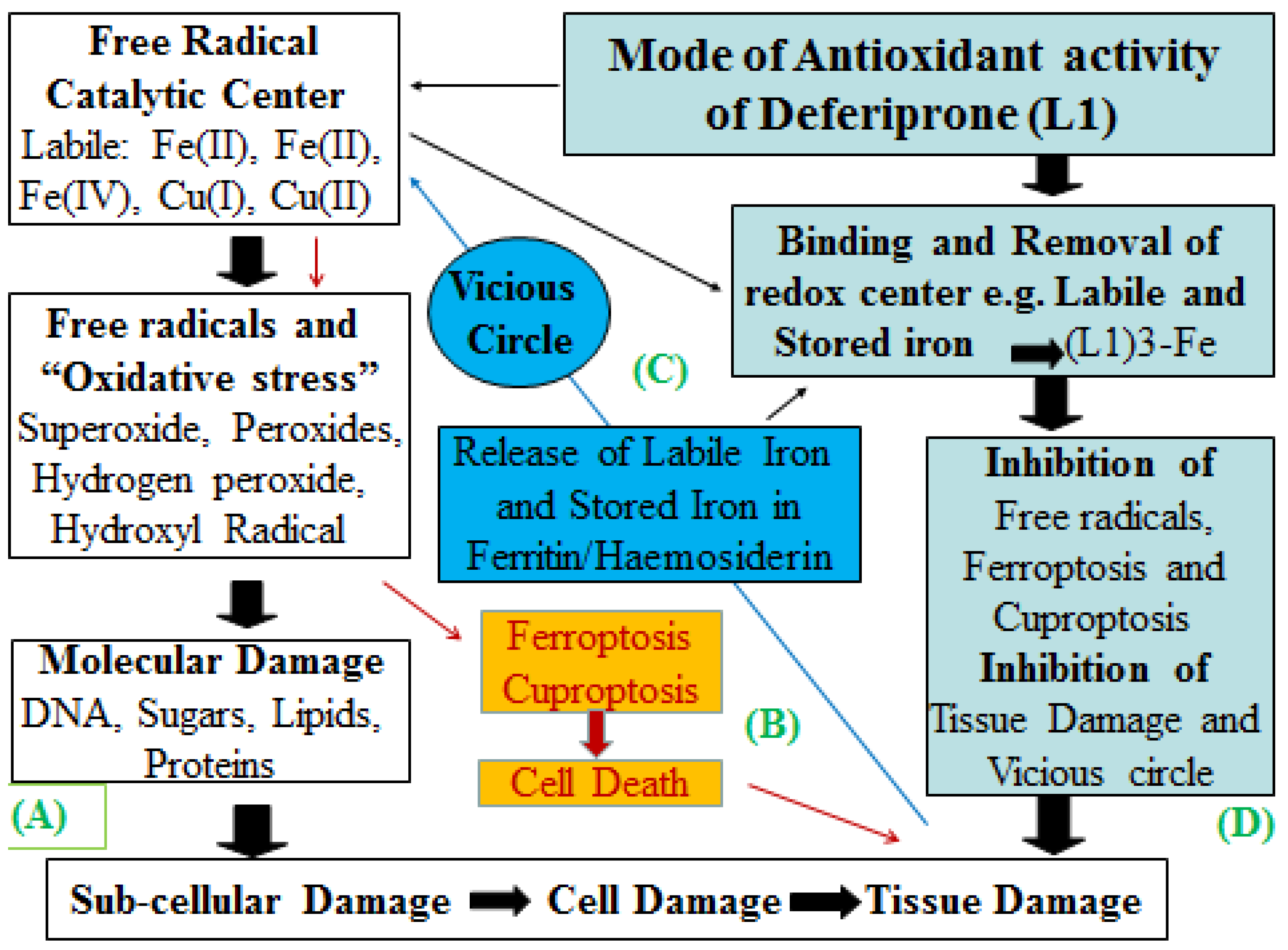 Pharmaceuticals 16 01016 g005 Pharmaceuticals 16 01016 g005
