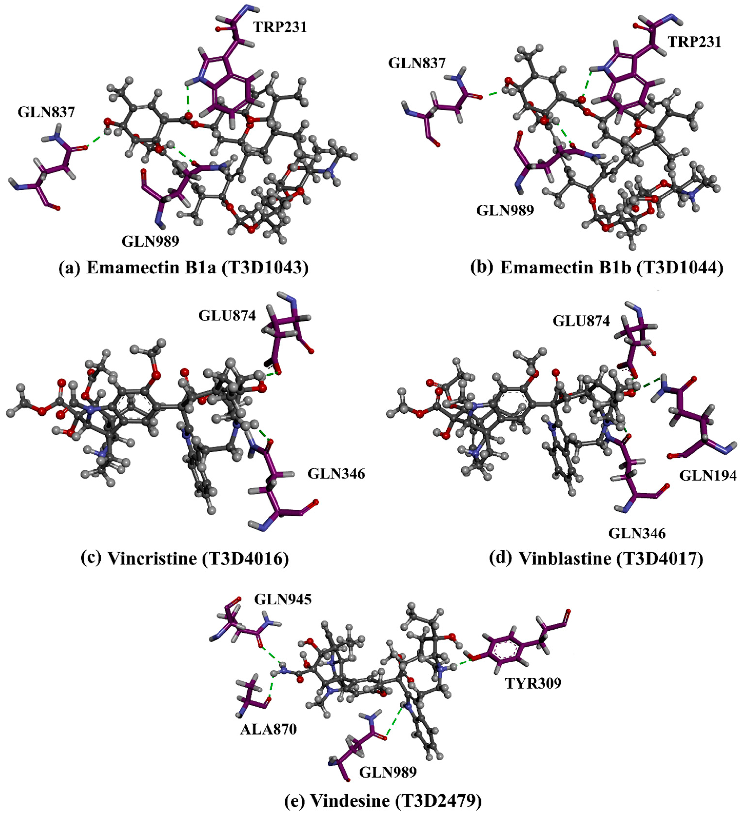 Pharmaceuticals 16 01019 g004 Pharmaceuticals 16 01019 g004
