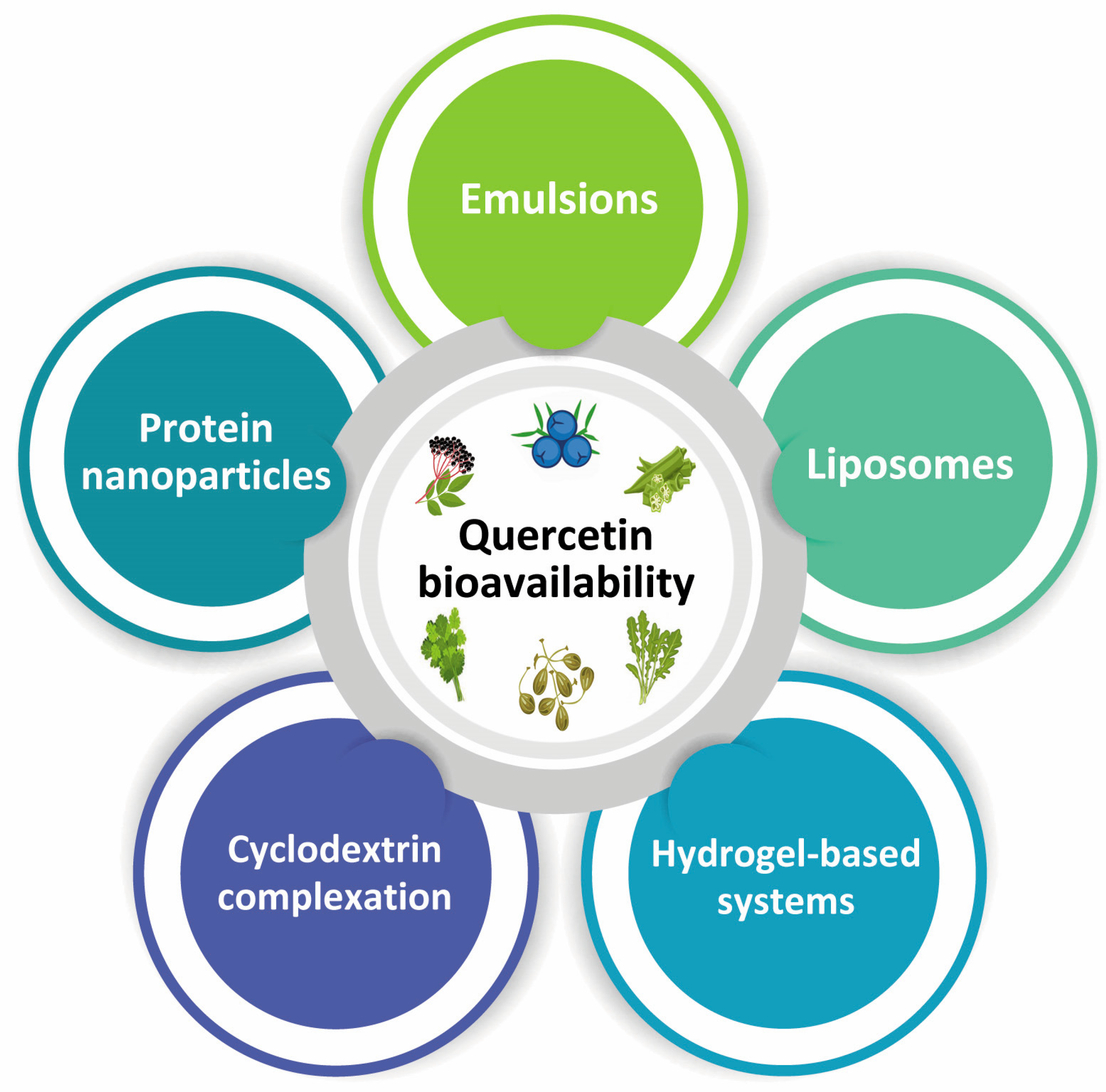 Pharmaceuticals 16 01020 g005