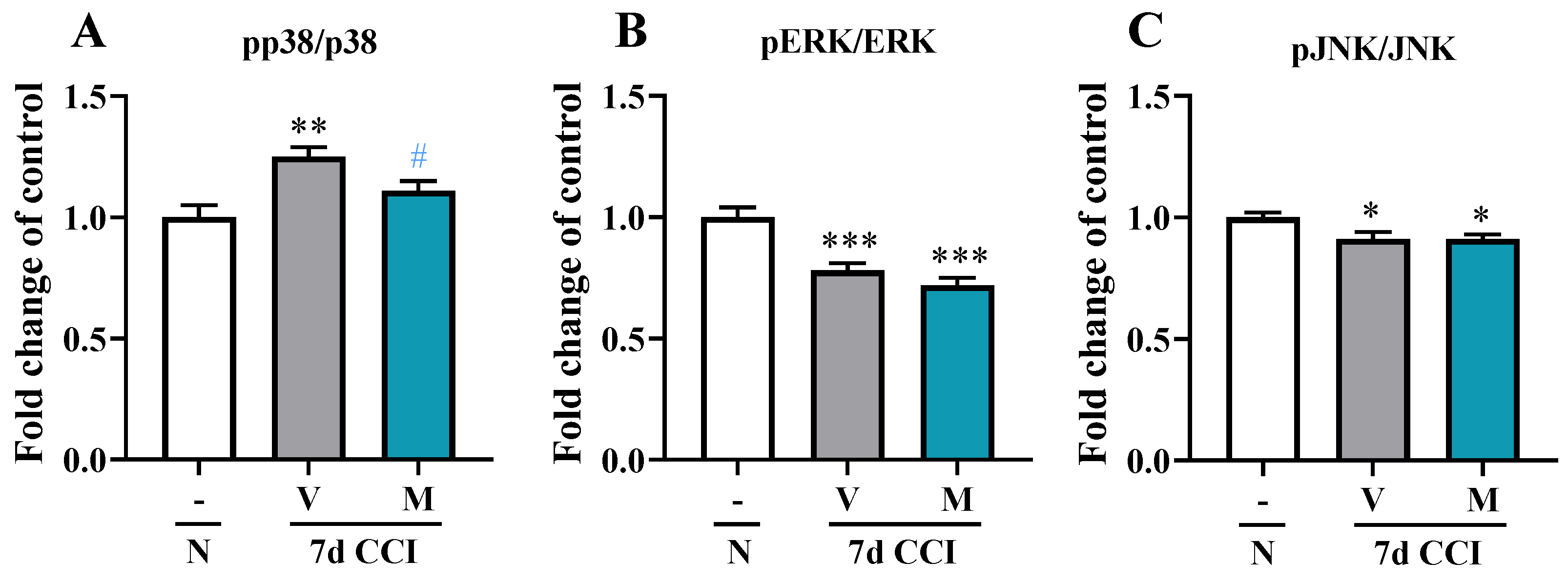 Pharmaceuticals 16 01023 g004