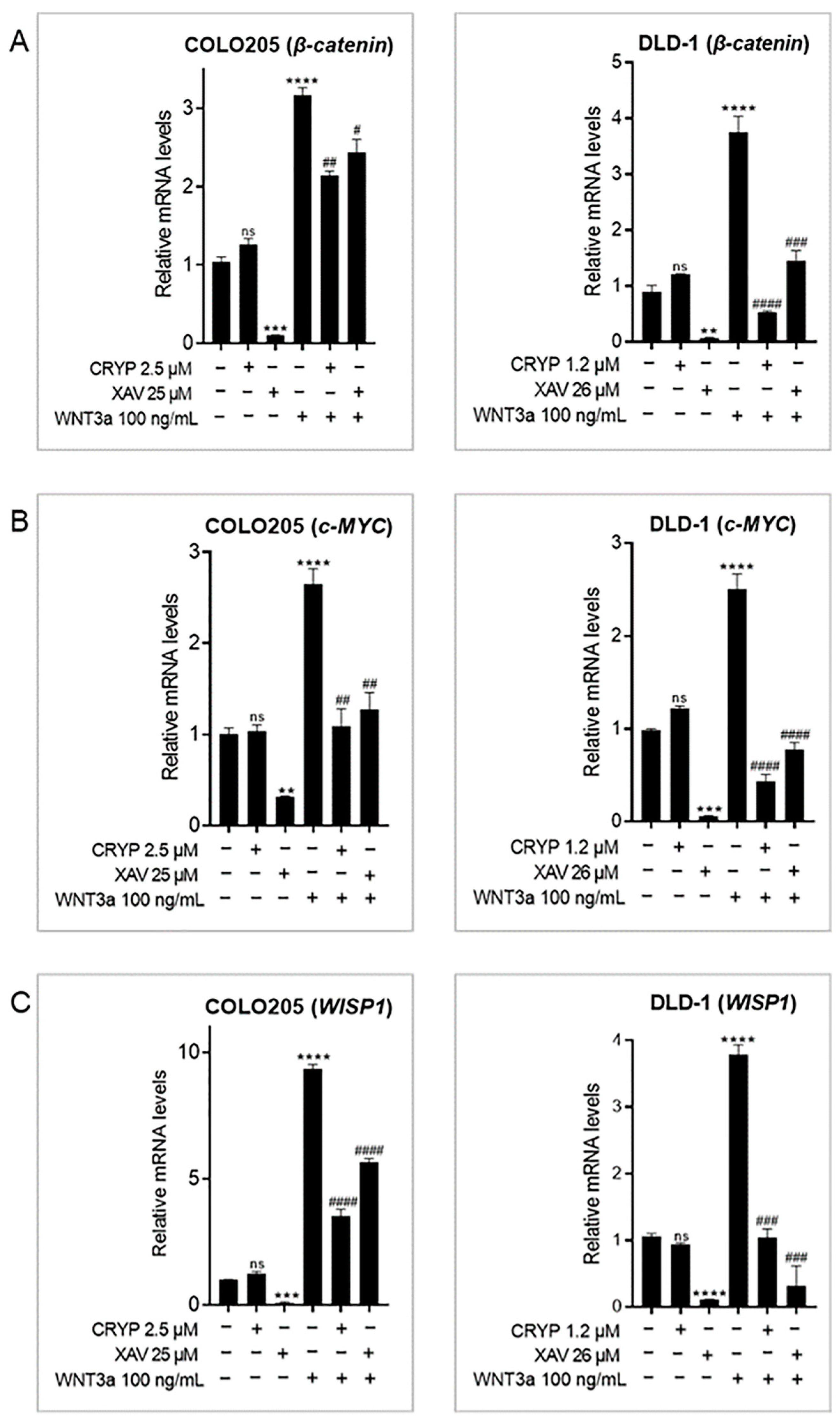 Pharmaceuticals 16 01026 g002