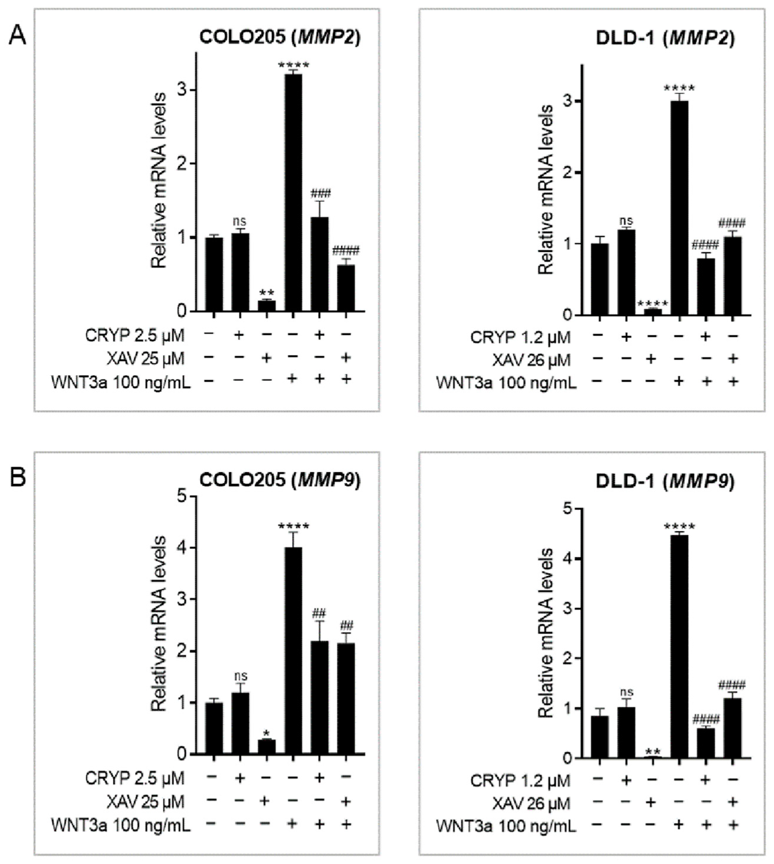 Pharmaceuticals 16 01026 g007