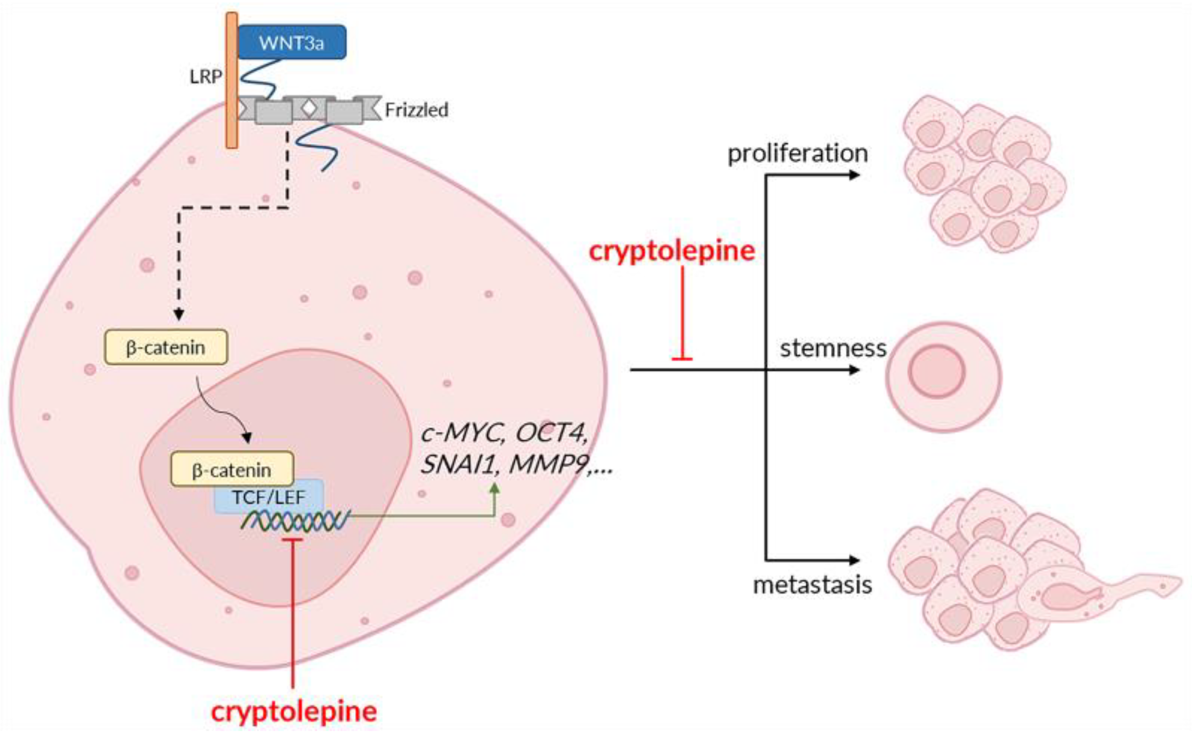 Pharmaceuticals 16 01026 g008