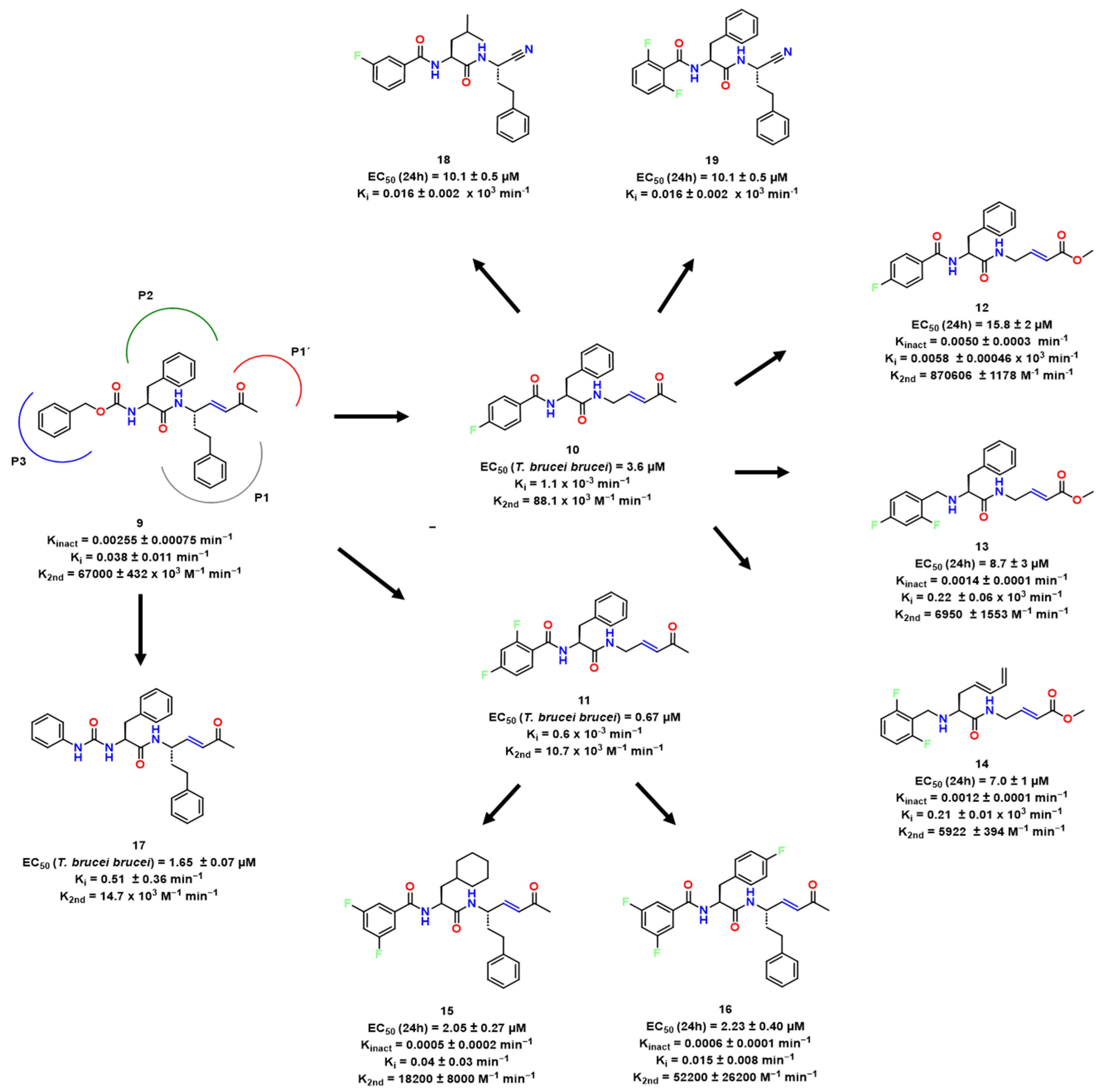 Pharmaceuticals 16 01028 g004