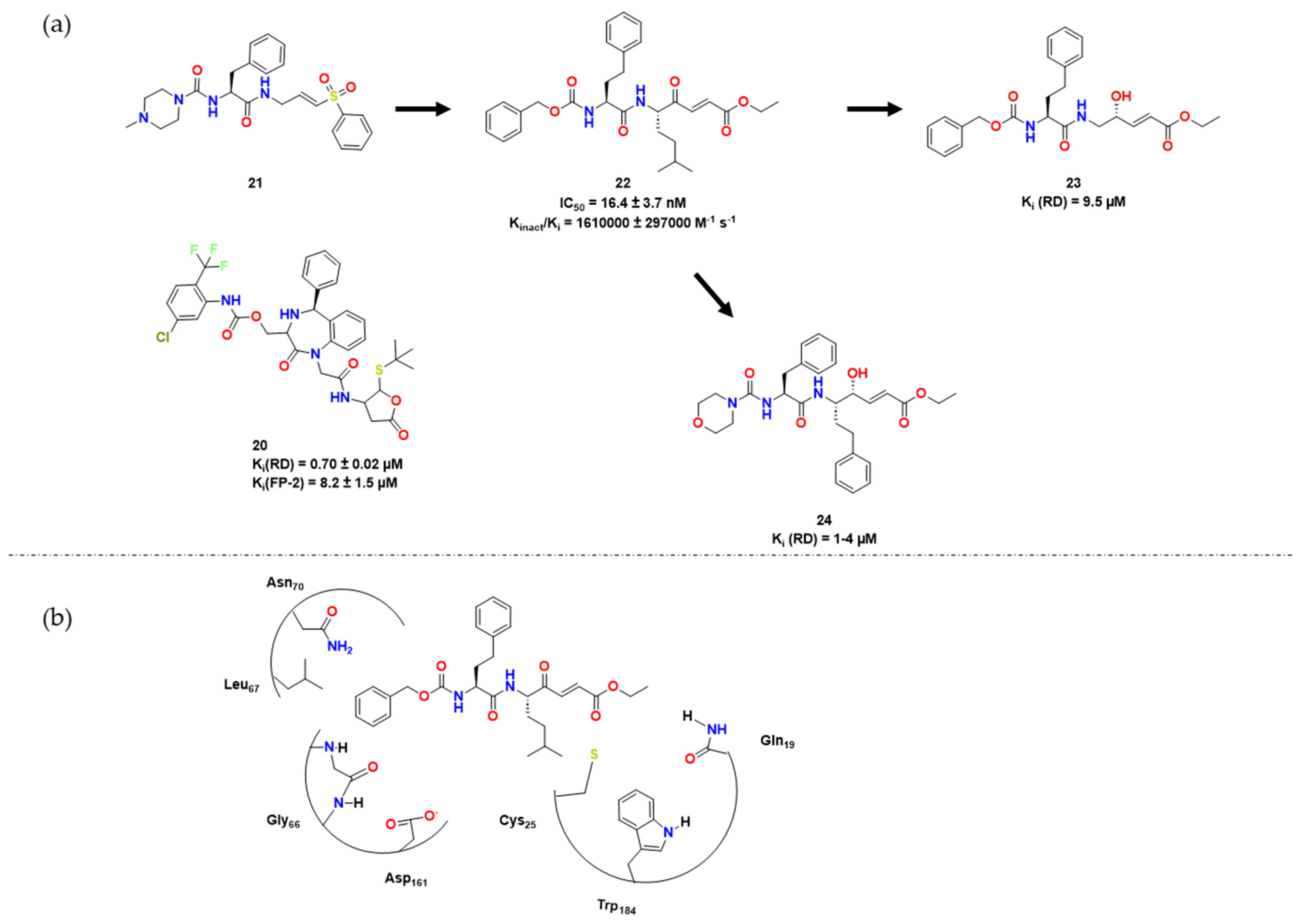 Pharmaceuticals 16 01028 g006 Pharmaceuticals 16 01028 g006