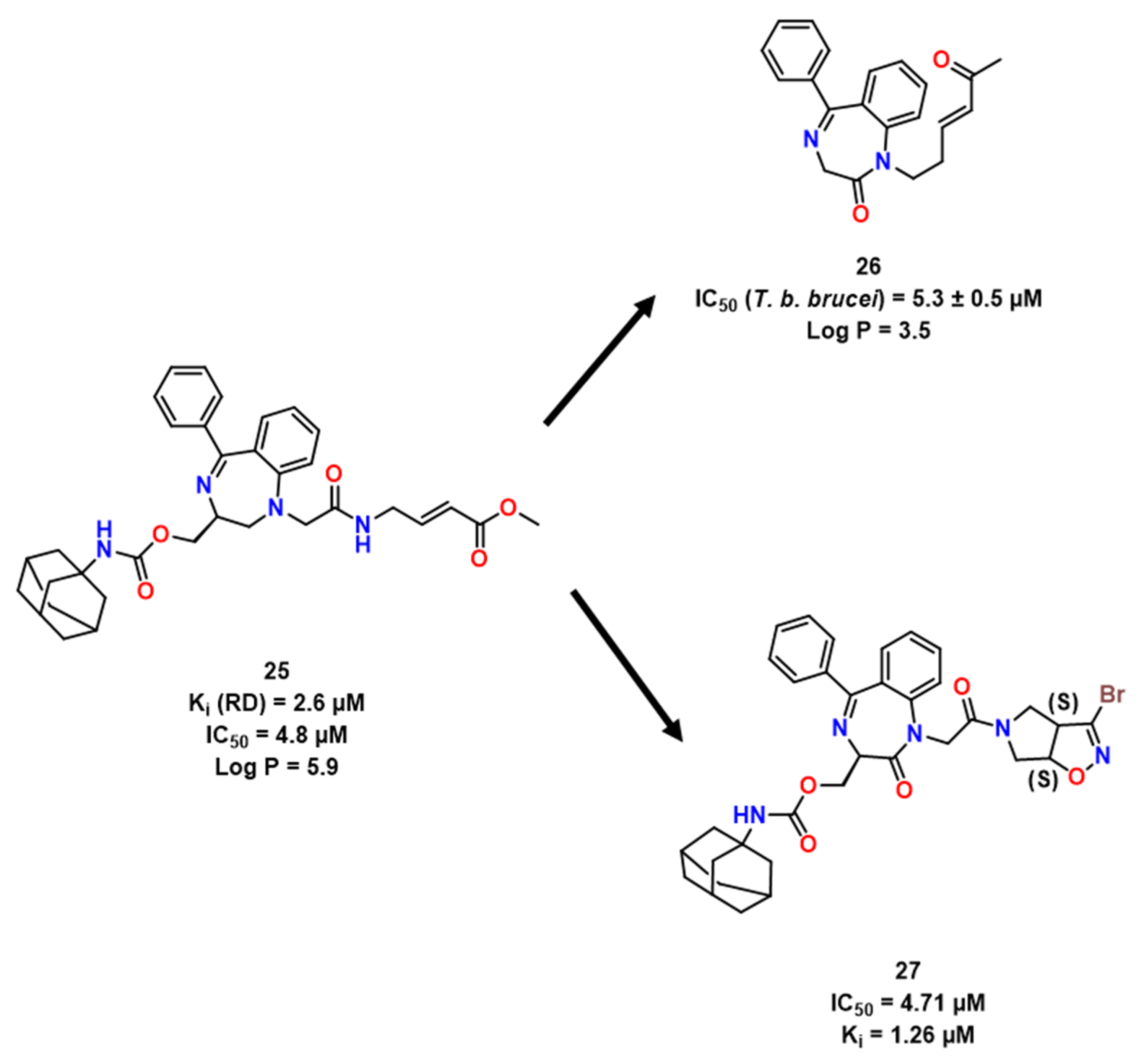 Pharmaceuticals 16 01028 g007 Pharmaceuticals 16 01028 g007