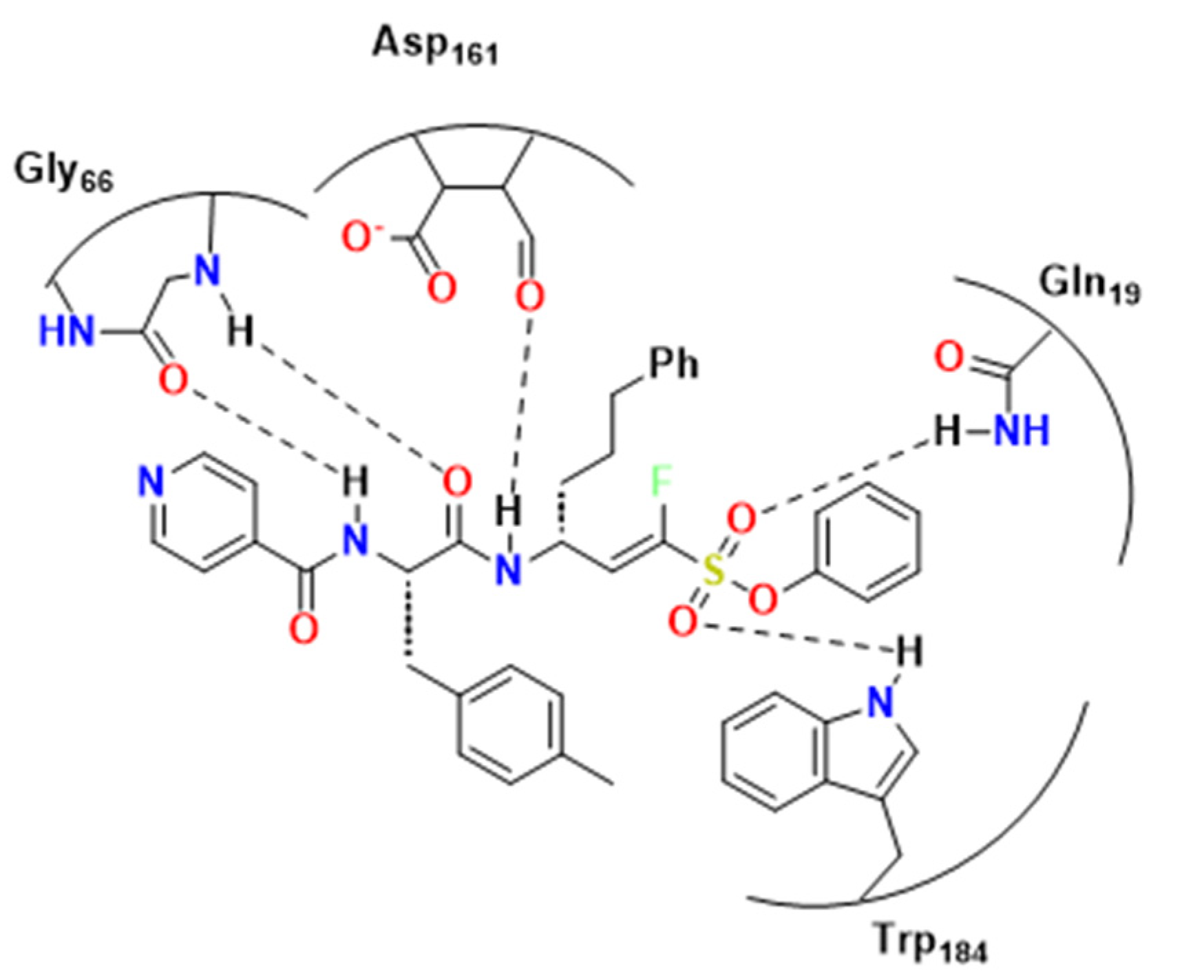Pharmaceuticals 16 01028 g010 Pharmaceuticals 16 01028 g010