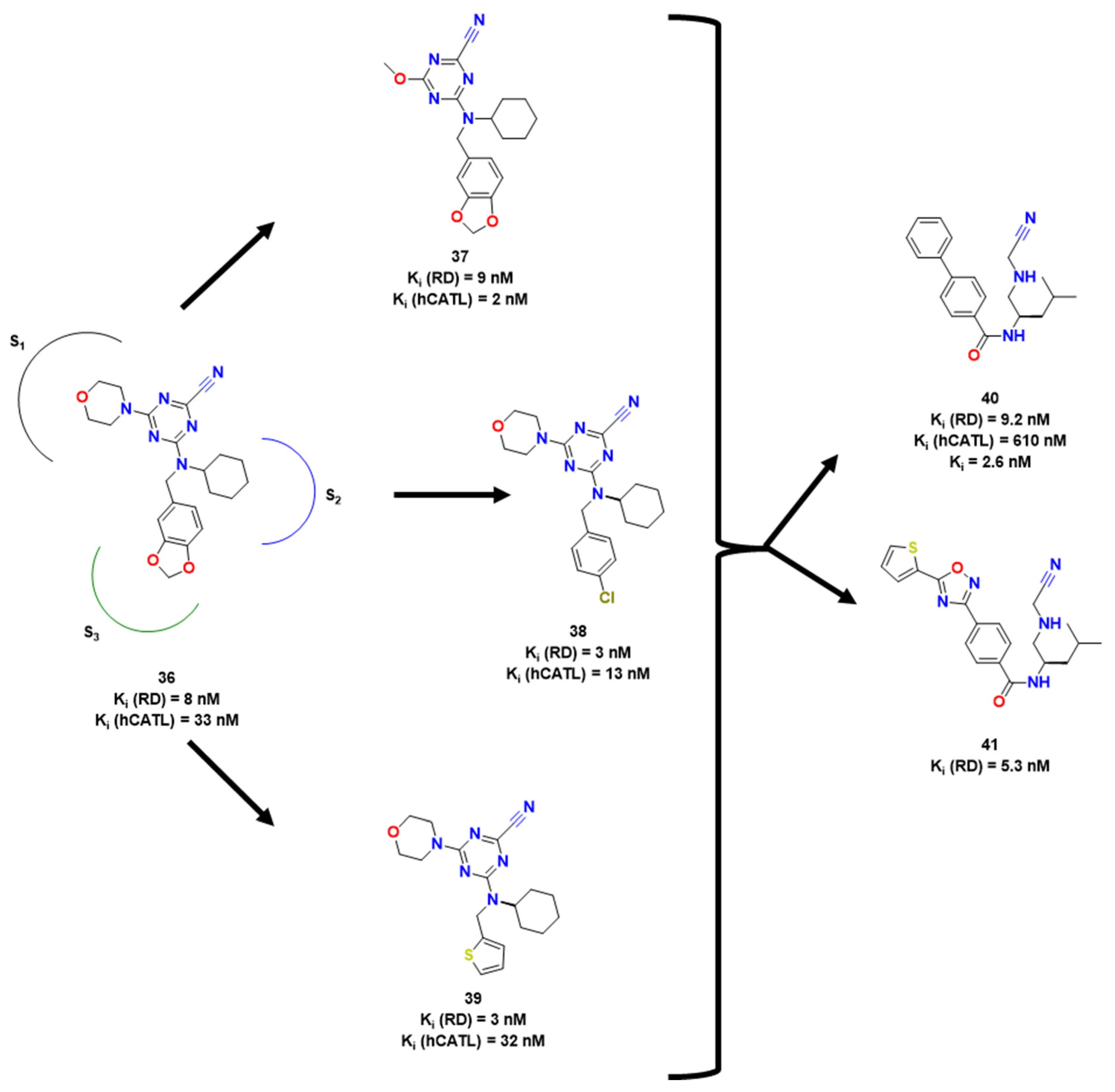 Pharmaceuticals 16 01028 g013 Pharmaceuticals 16 01028 g013