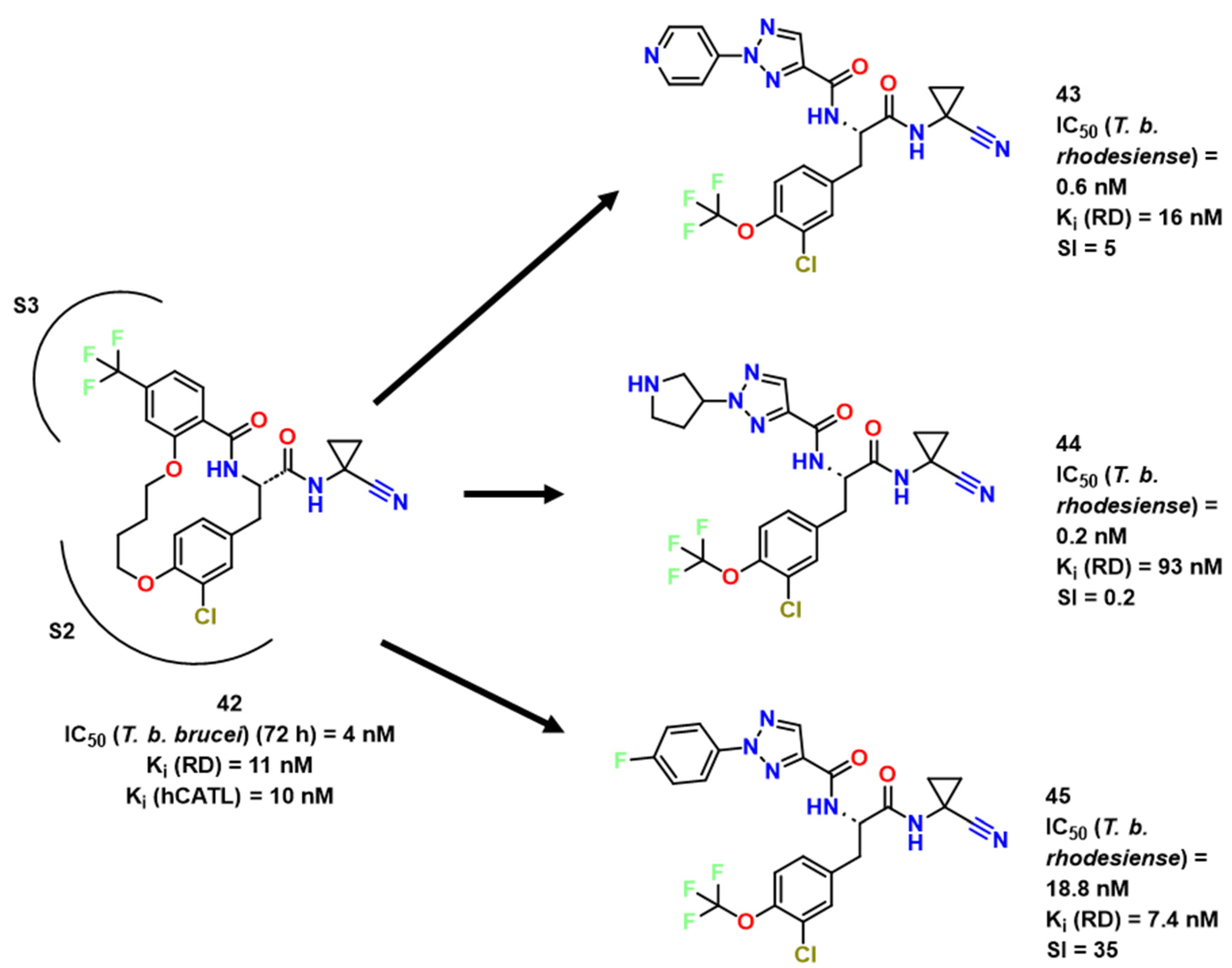 Pharmaceuticals 16 01028 g015