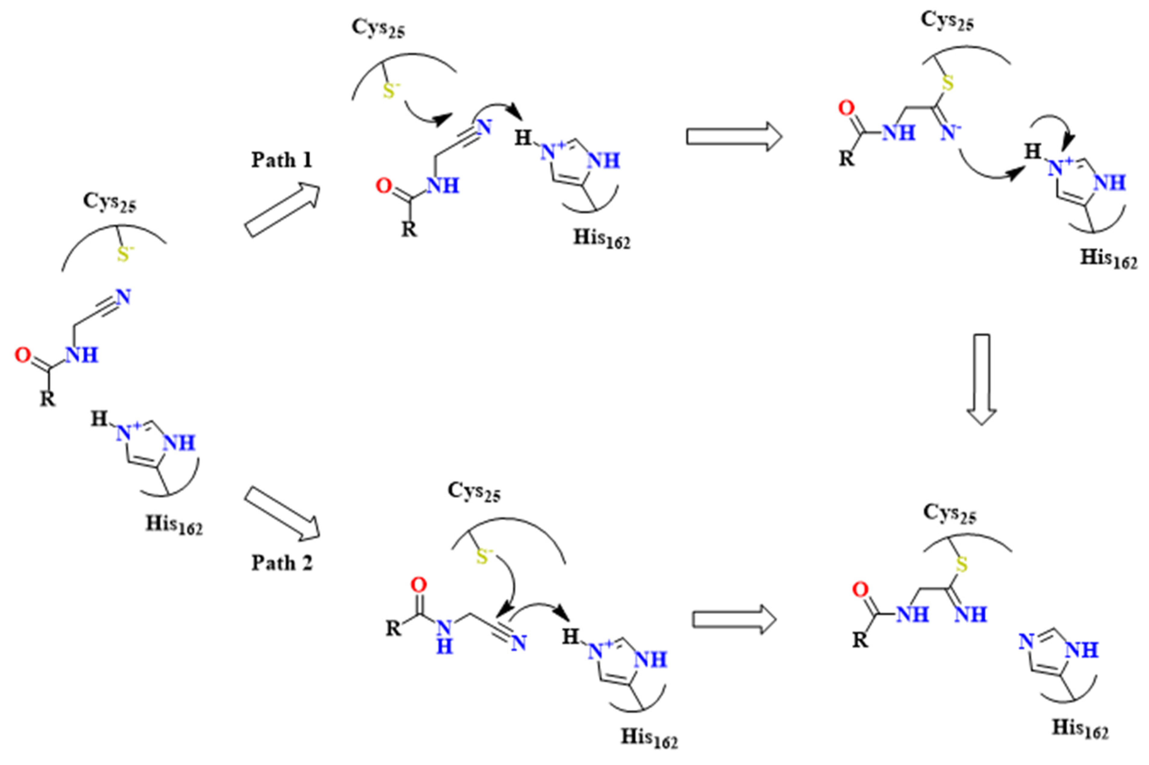 Pharmaceuticals 16 01028 g021 Pharmaceuticals 16 01028 g021