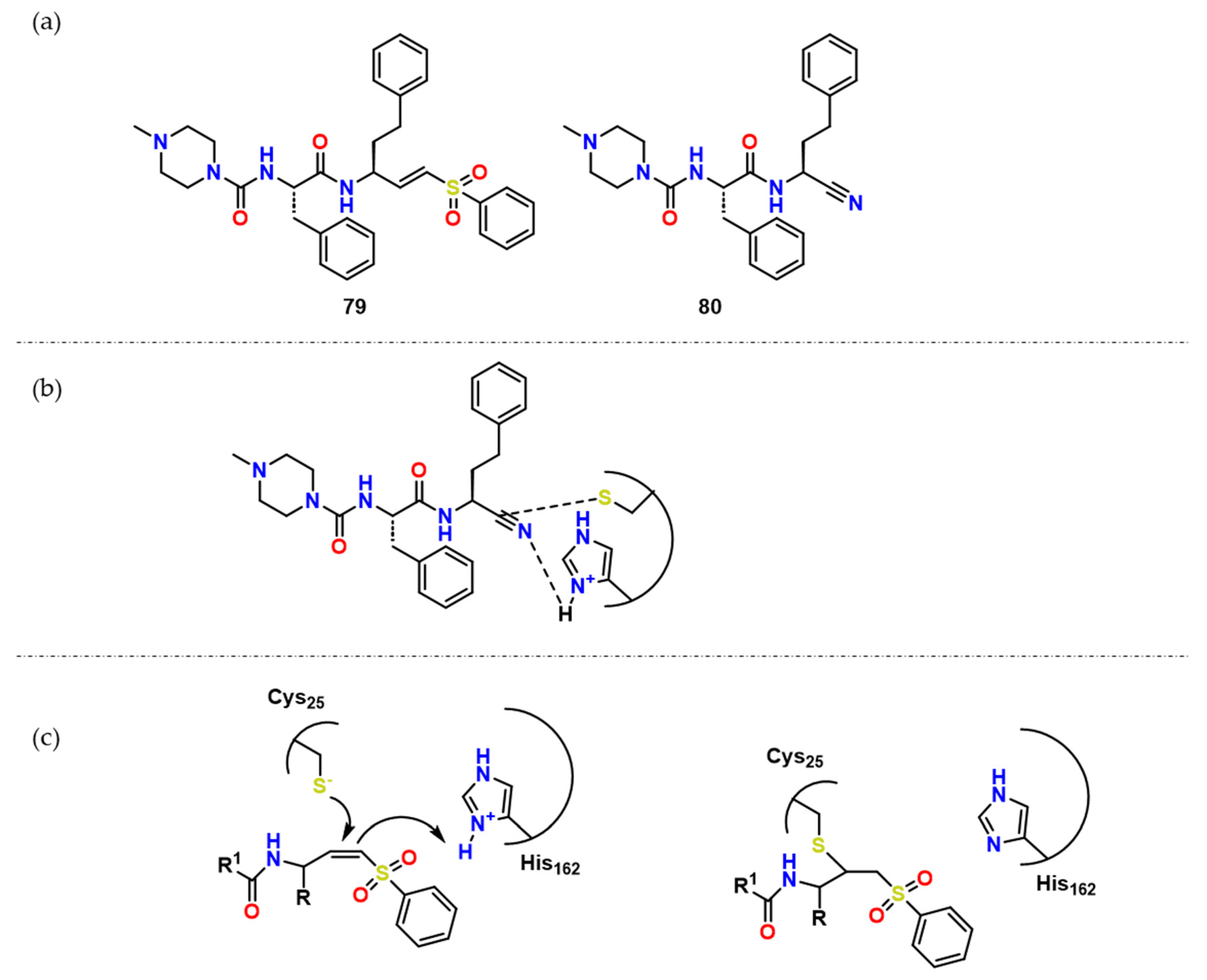 Pharmaceuticals 16 01028 g025 Pharmaceuticals 16 01028 g025