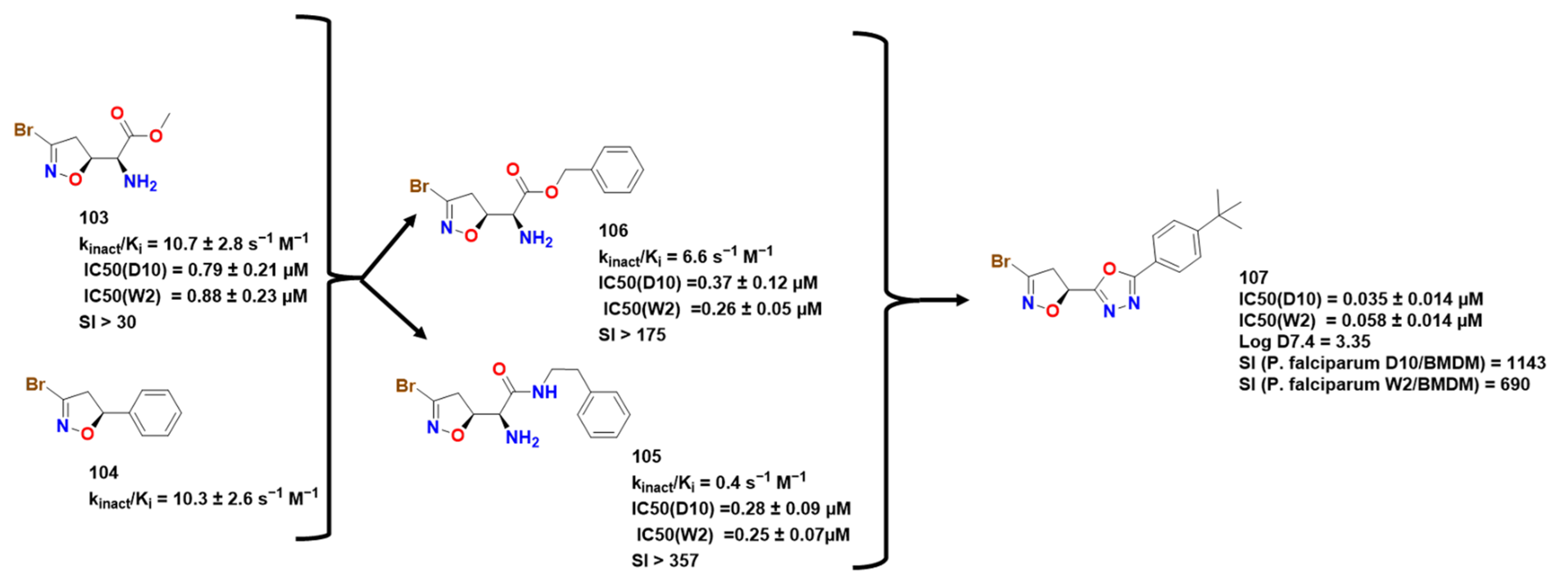 Pharmaceuticals 16 01028 g030