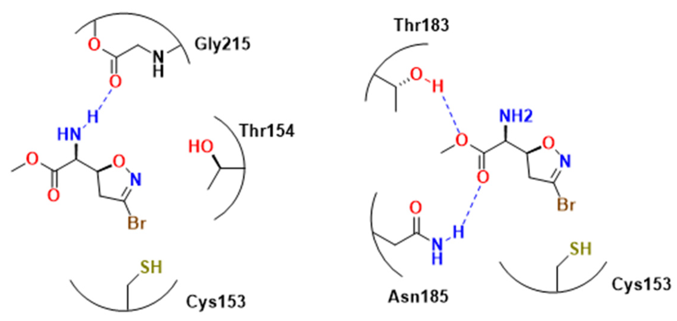 Pharmaceuticals 16 01028 g031 Pharmaceuticals 16 01028 g031