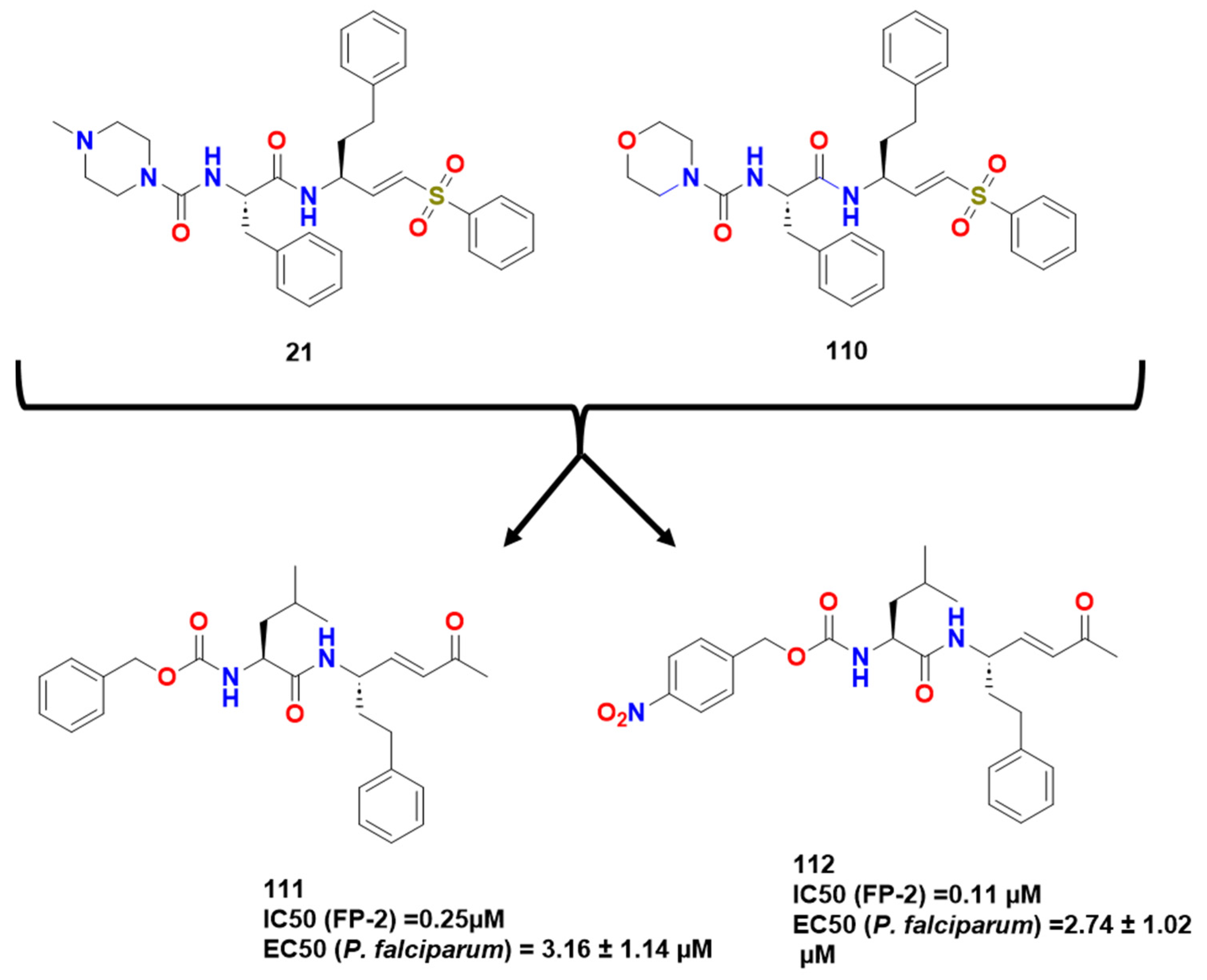Pharmaceuticals 16 01028 g033 Pharmaceuticals 16 01028 g033