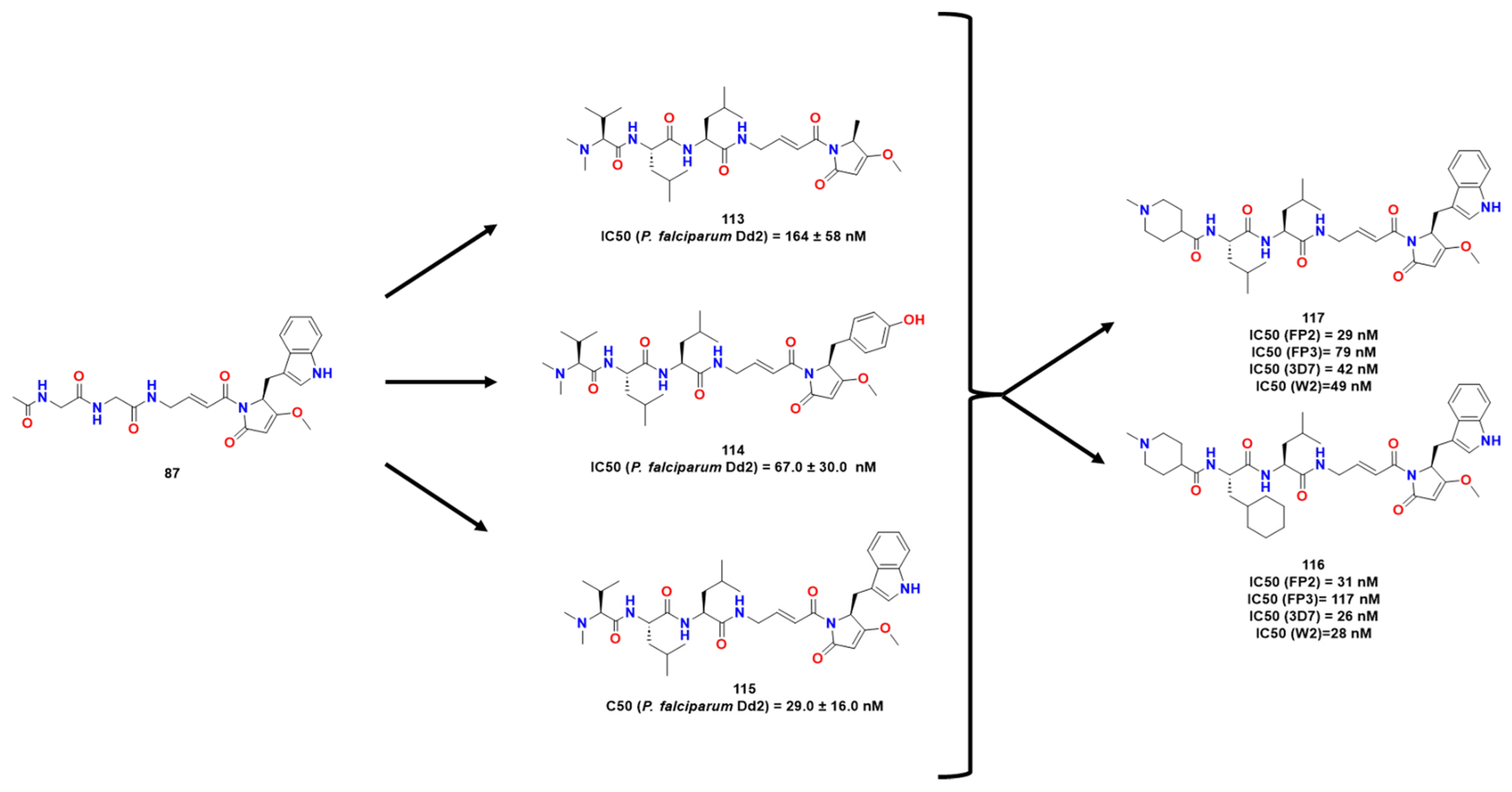 Pharmaceuticals 16 01028 g034