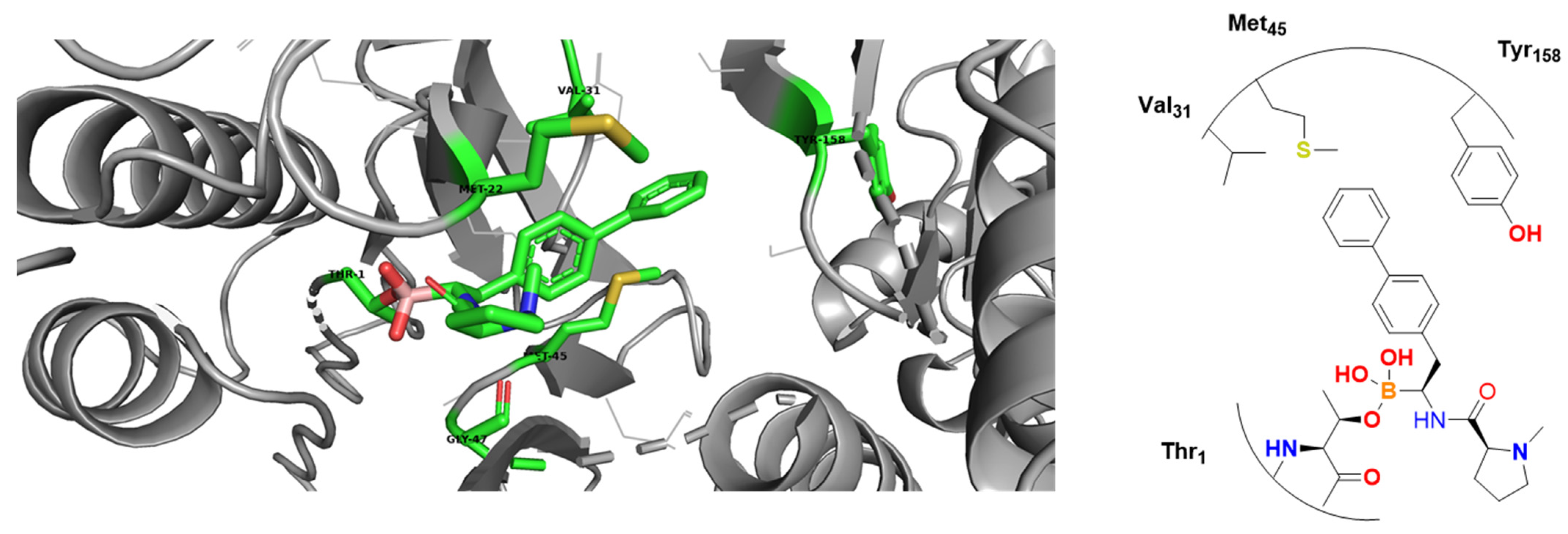 Pharmaceuticals 16 01028 g035
