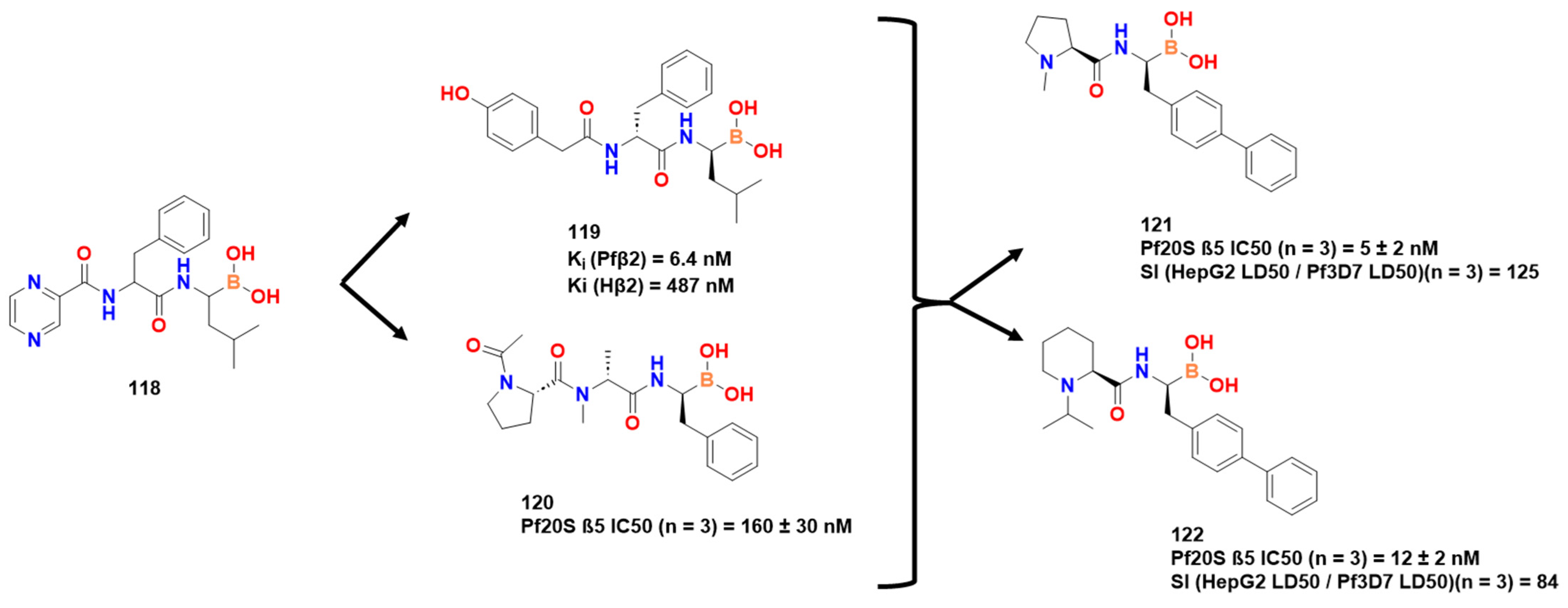 Pharmaceuticals 16 01028 g036