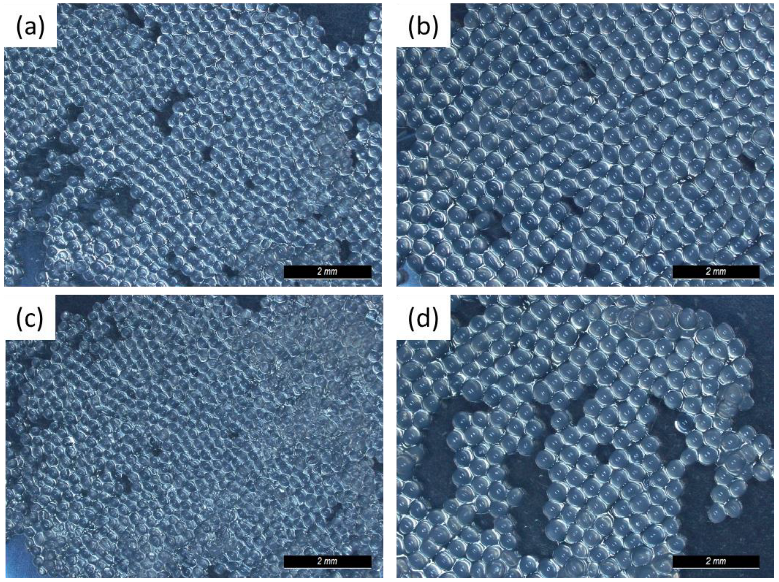 Pharmaceuticals 16 01029 g002 Pharmaceuticals 16 01029 g002