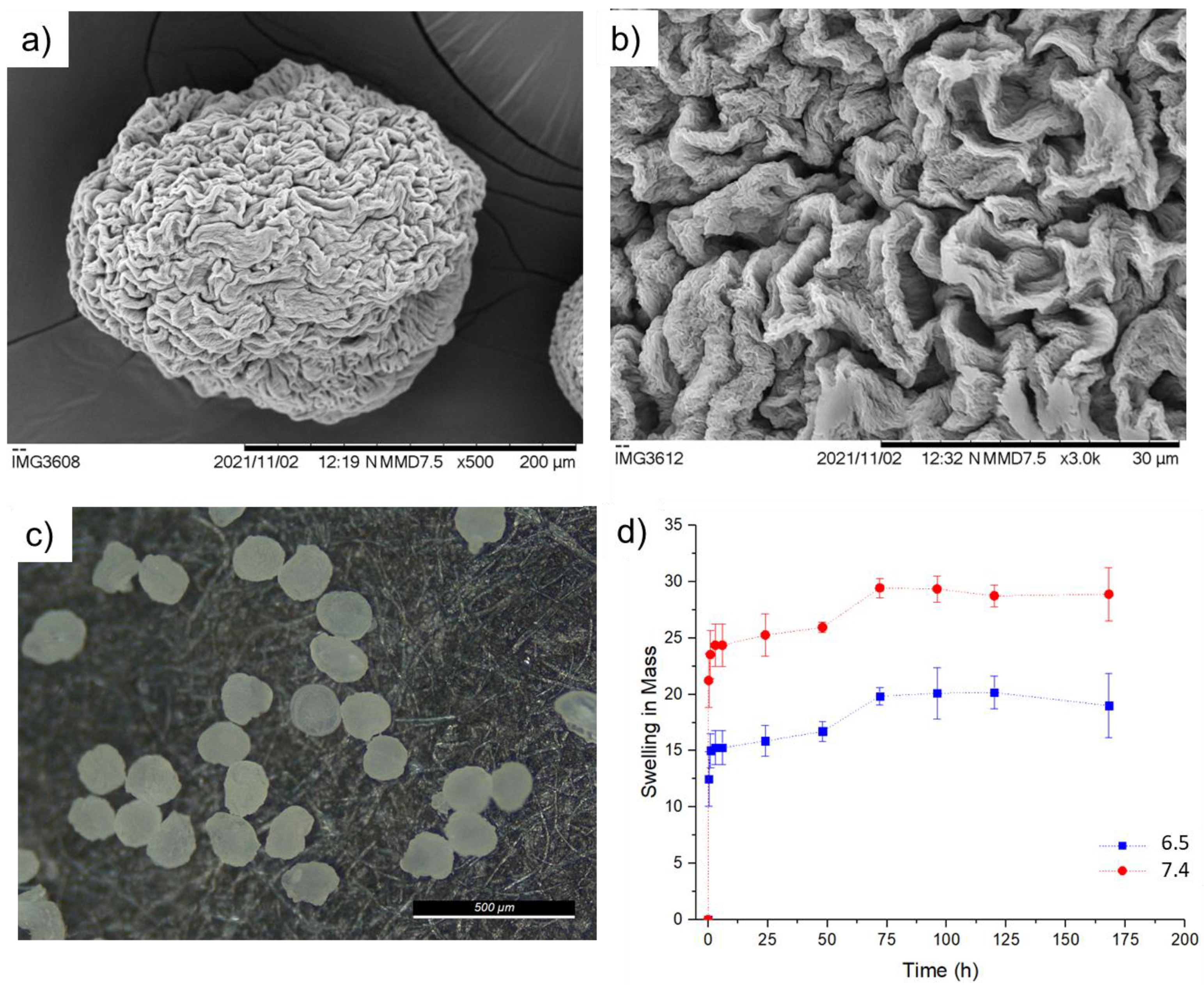 Pharmaceuticals 16 01029 g005 Pharmaceuticals 16 01029 g005
