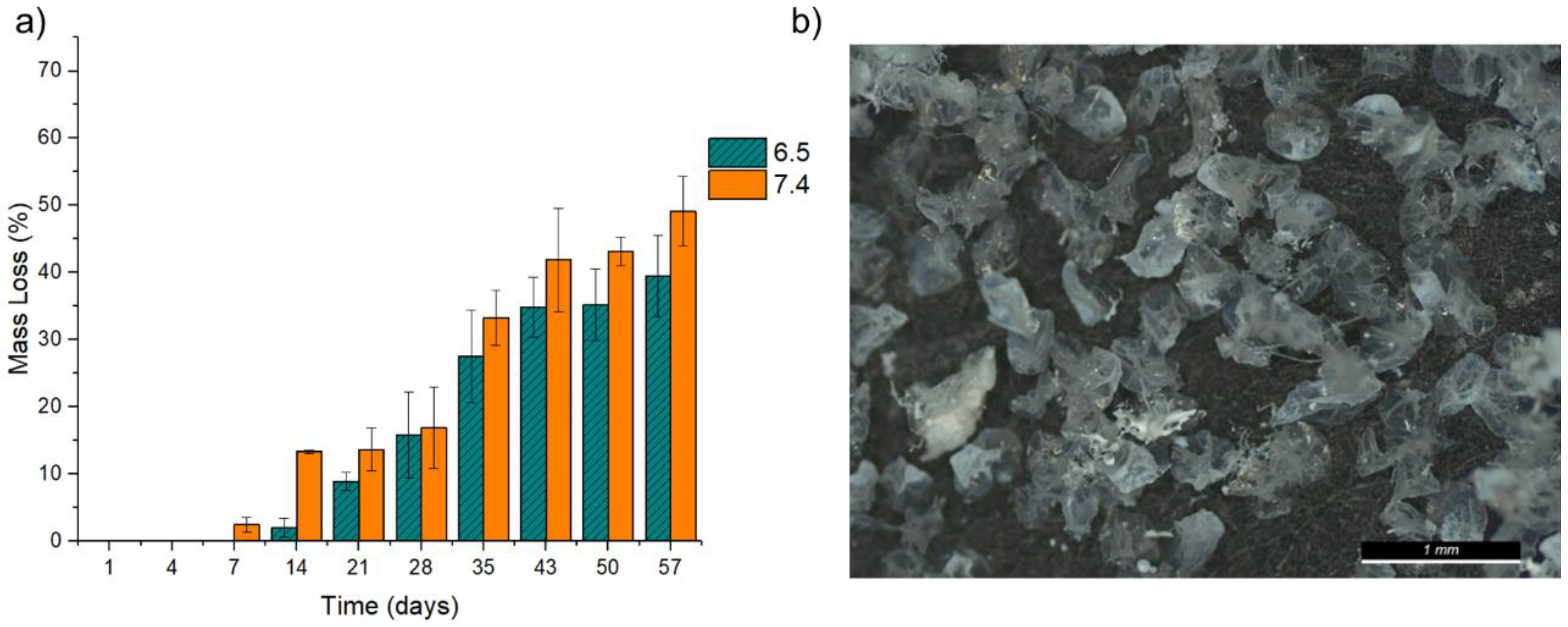 Pharmaceuticals 16 01029 g008 Pharmaceuticals 16 01029 g008