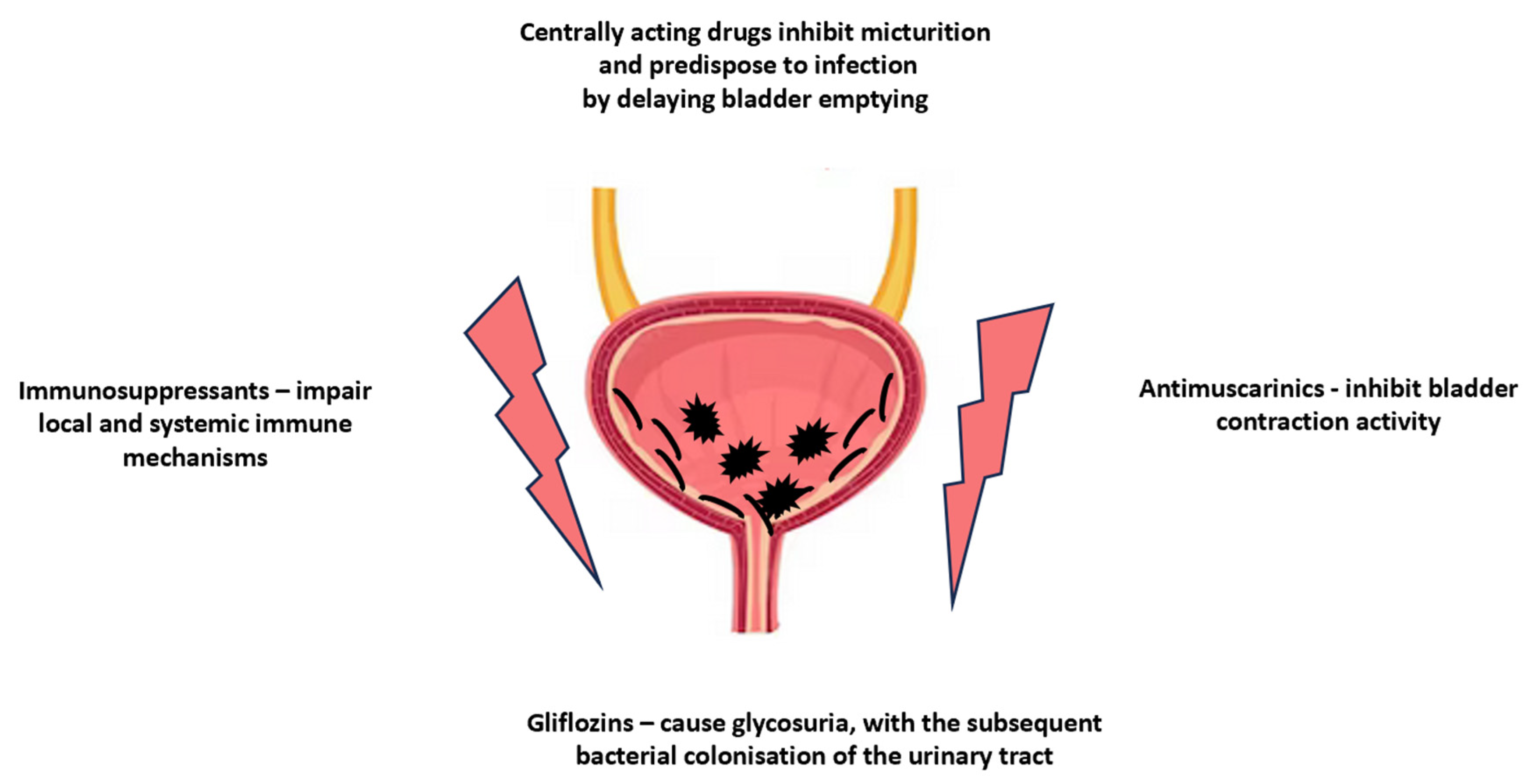Pharmaceuticals 16 01031 g004