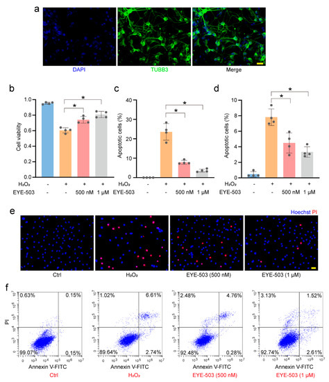 Electrodiagnosis of retinal di 三宅養三 Evaluating therapeutic potential of NR2E3 doses in the rd7 mouse