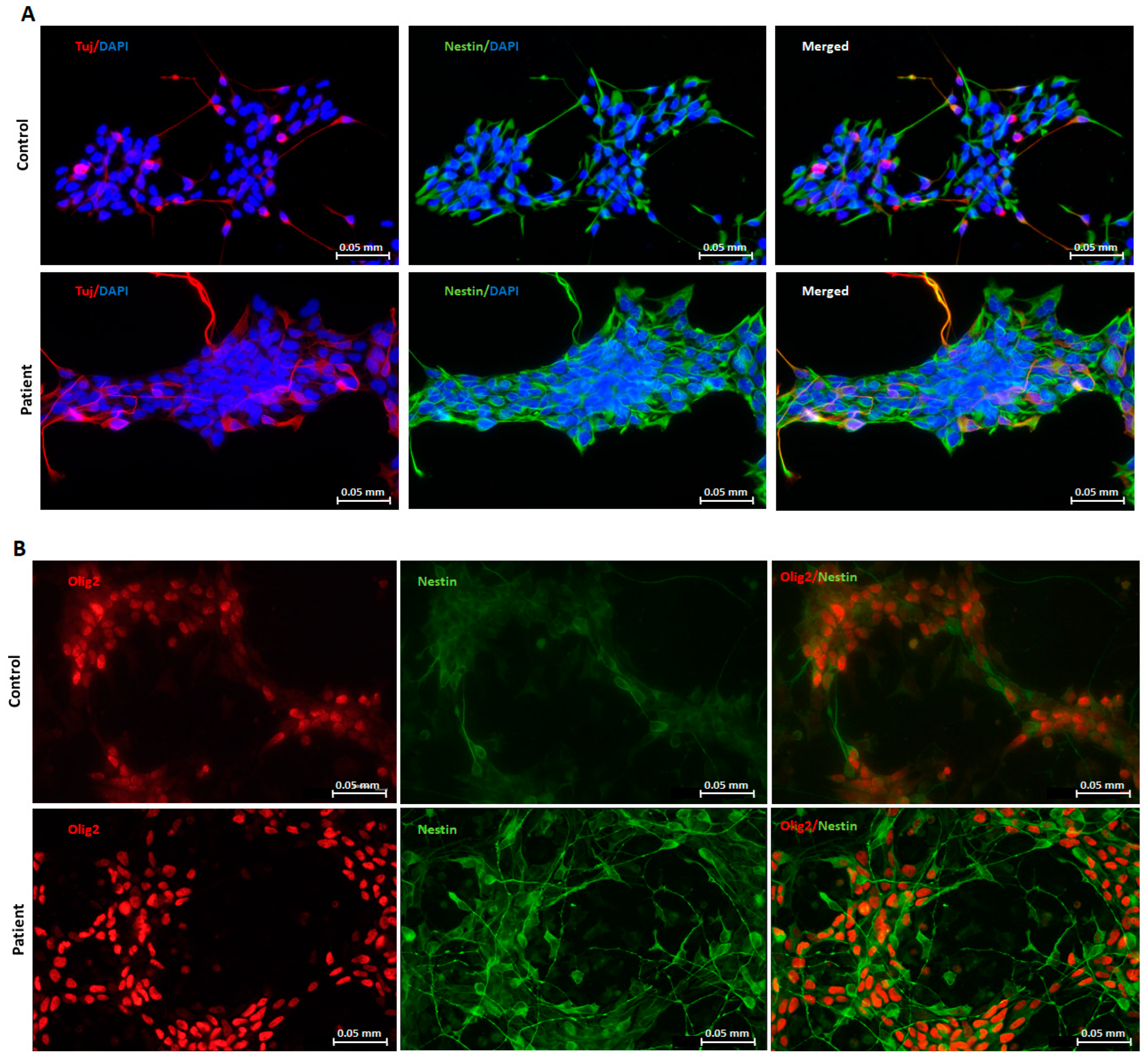 Pharmaceuticals 16 01034 g001